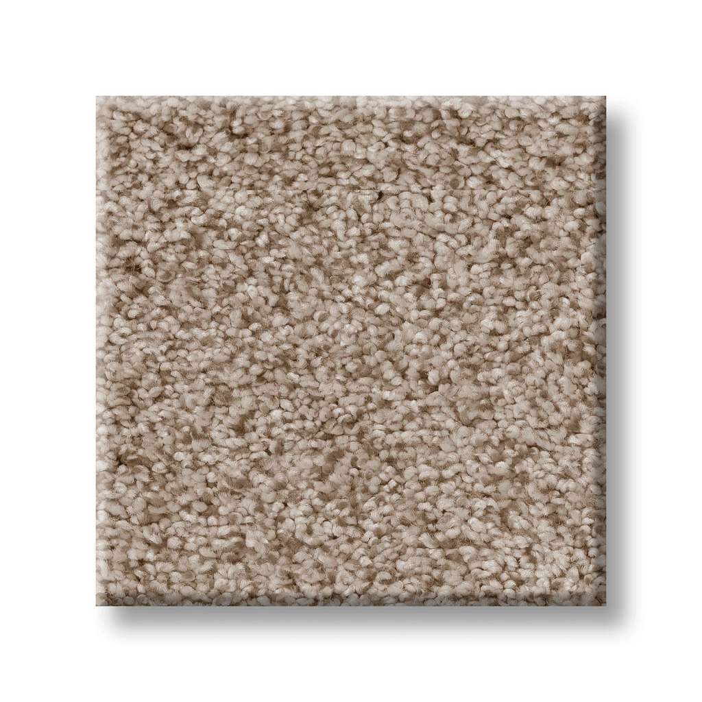 sumptuous i zz323 - toasted grain Costco | Shaw Carpet: Berber 