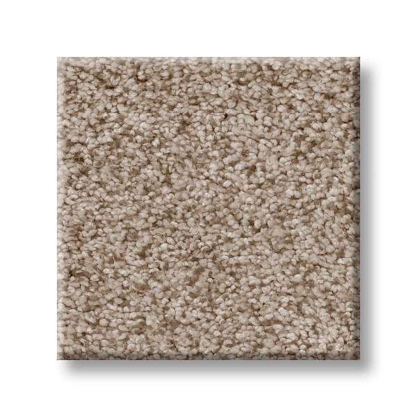 Style Sumptuous I Carpet - Toasted Grain Swatch