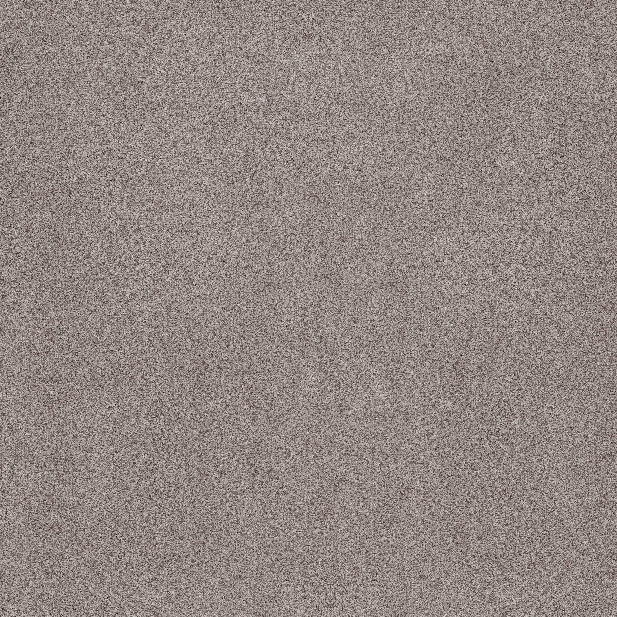 Sumptuous I Carpet - Rustic Gray Zoomed Swatch Image