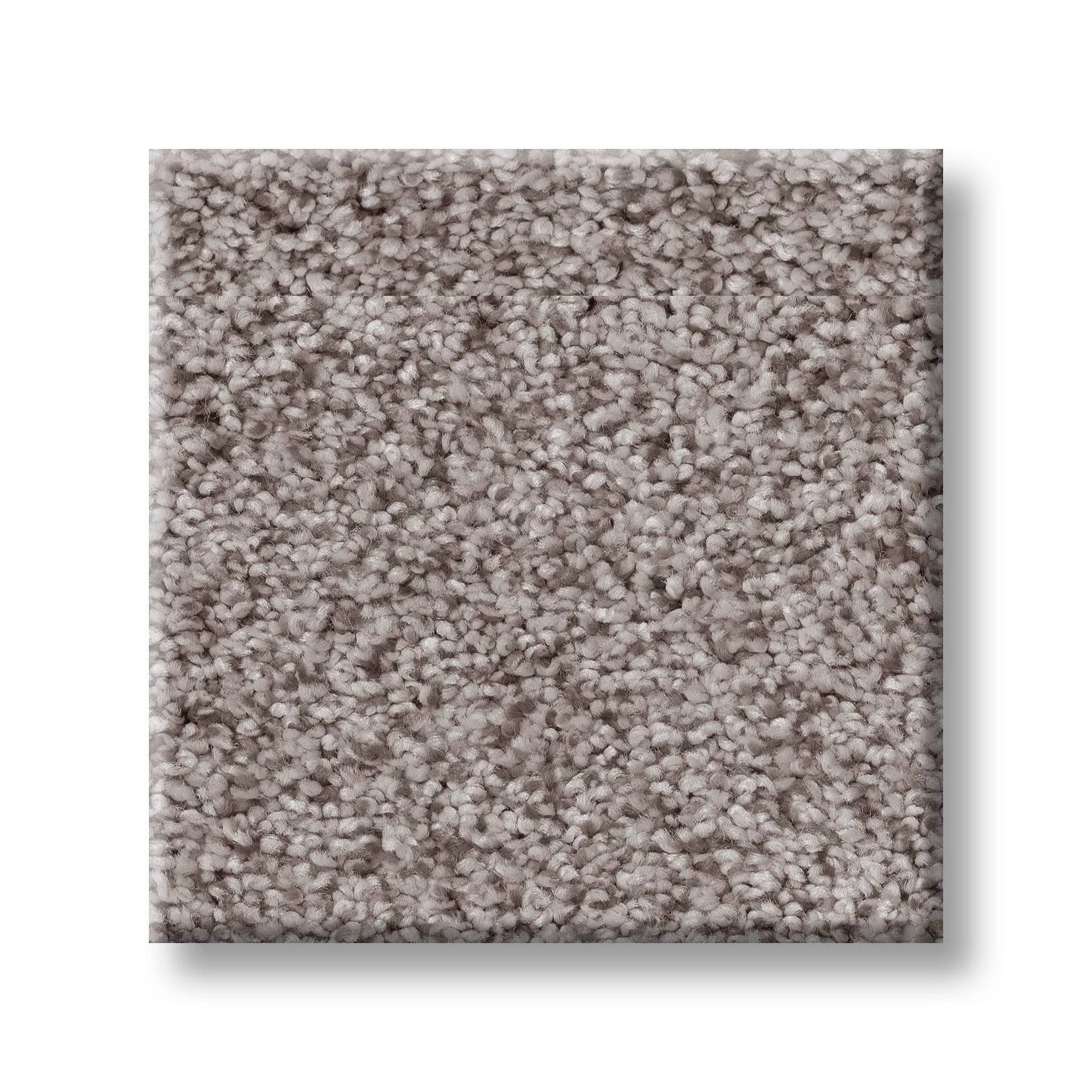 Sumptuous I Carpet - Rustic Gray Swatch Thumbnail pupop1