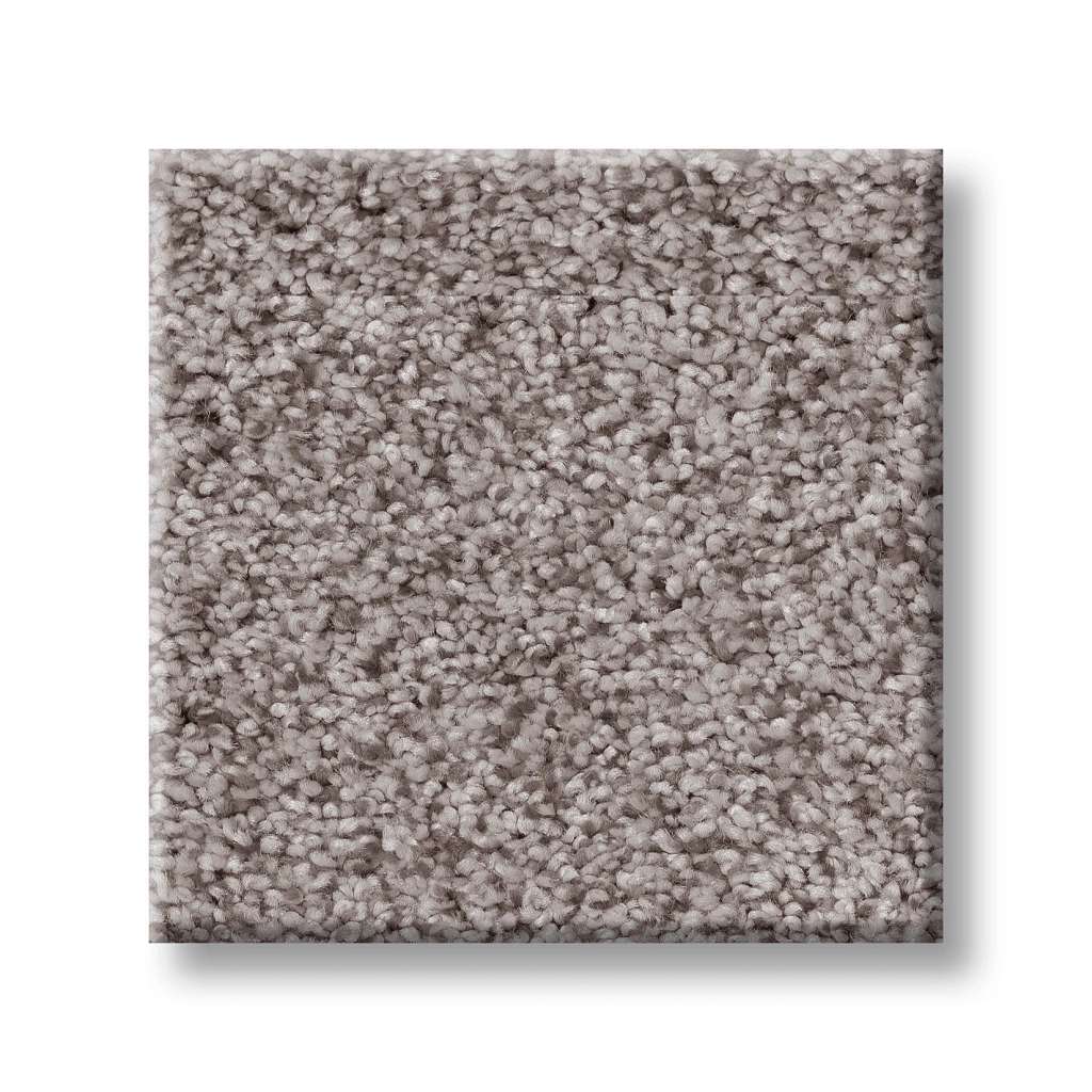 Sumptuous I Carpet - Rustic Gray  Swatch Image 