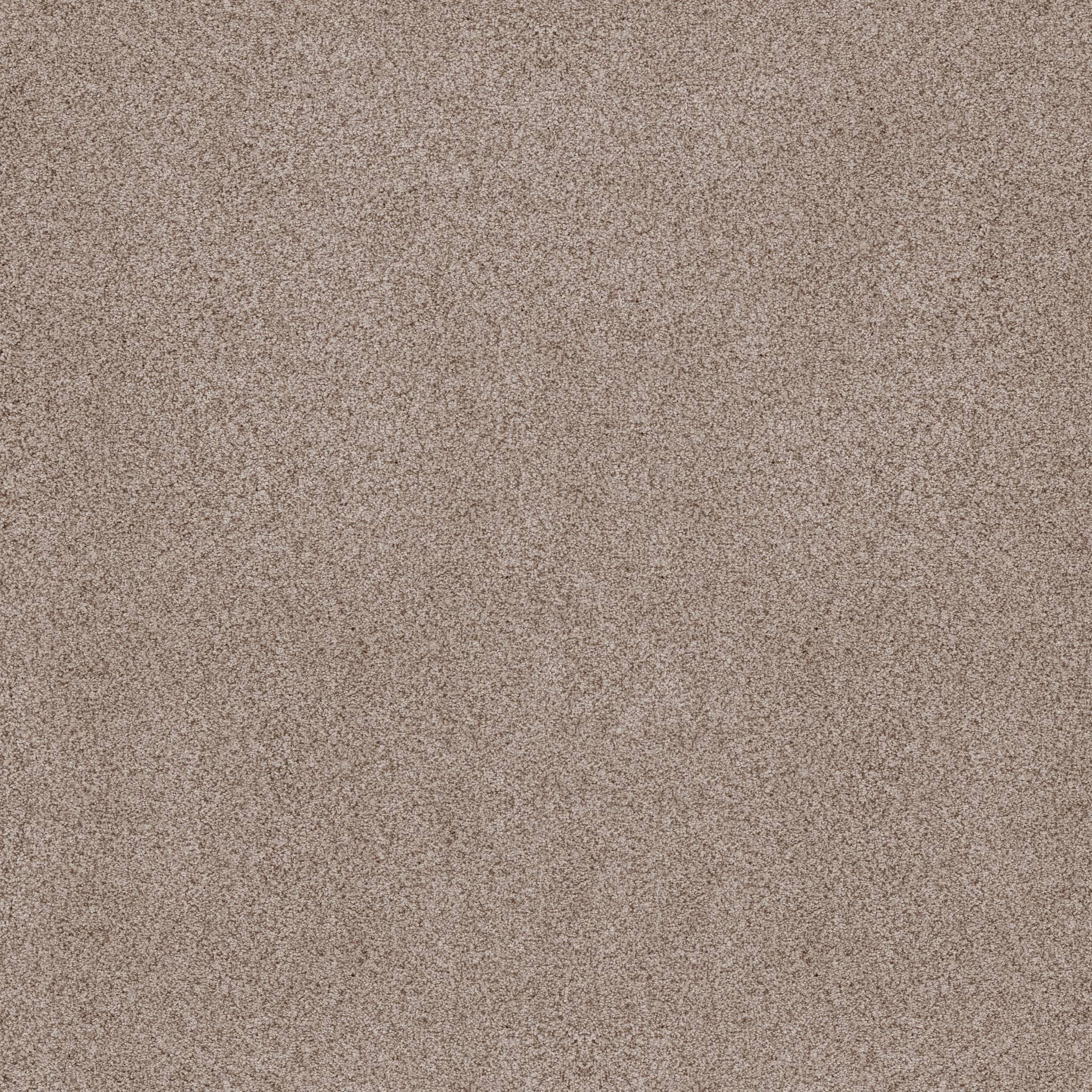 Sumptuous I Carpet - Earthen Zoomed Swatch Image