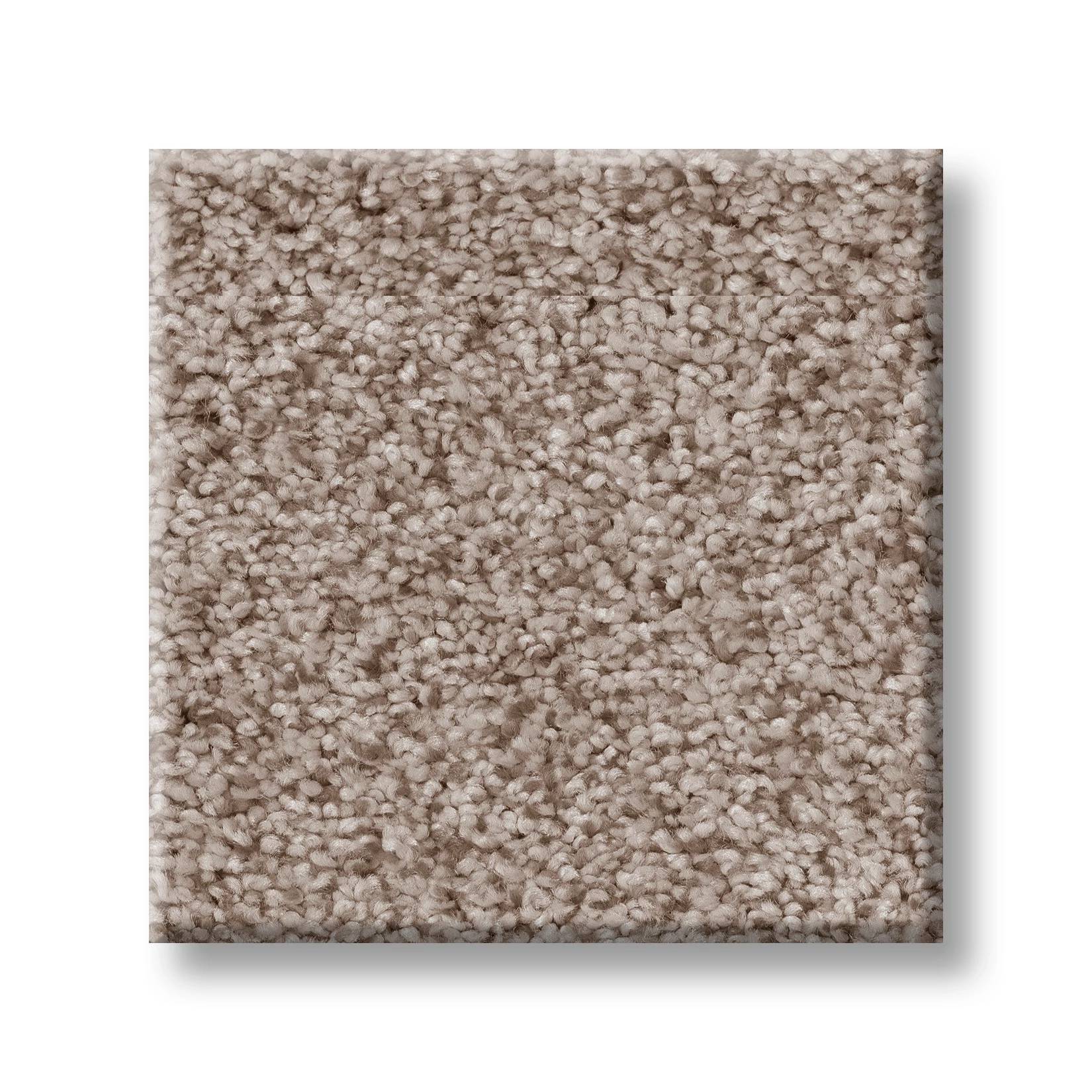 Sumptuous I Carpet - Earthen Swatch Thumbnail pupop1