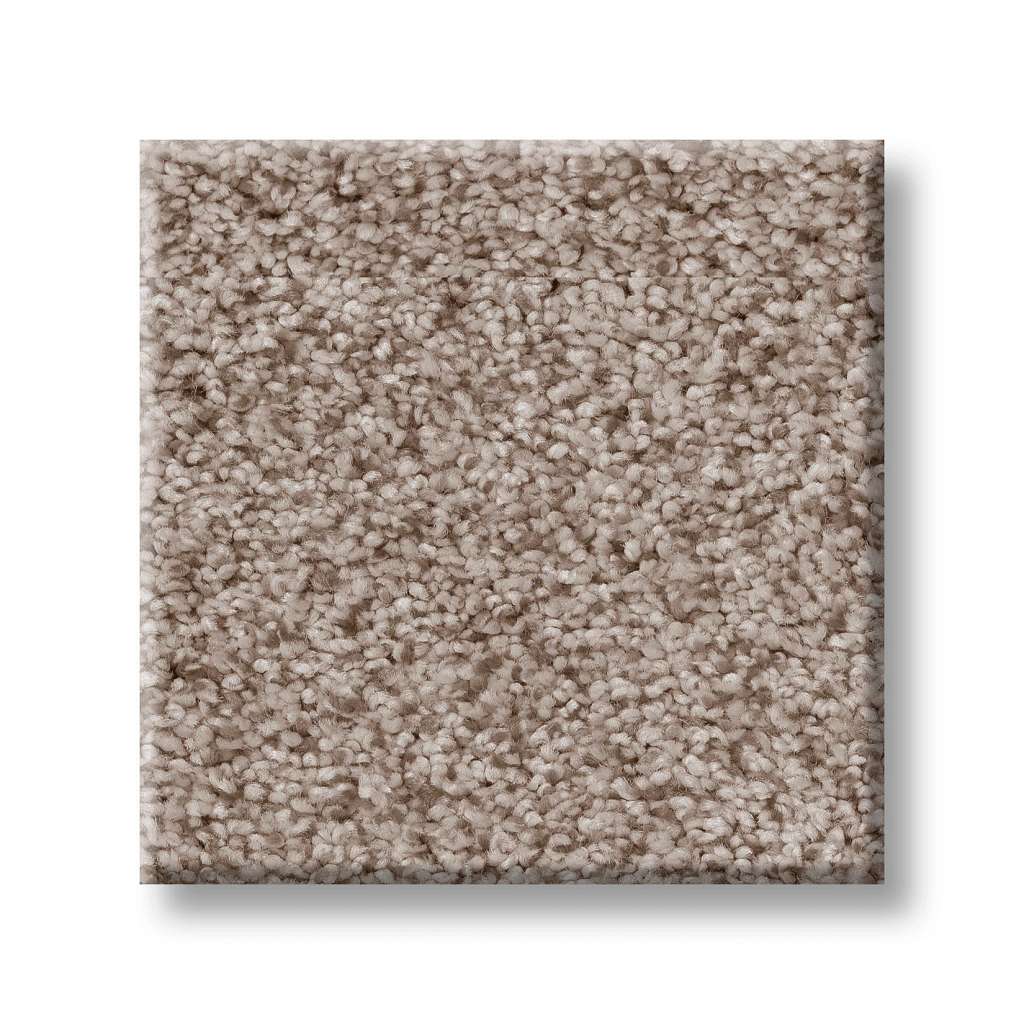 Sumptuous I Carpet - Earthen  Swatch Image 