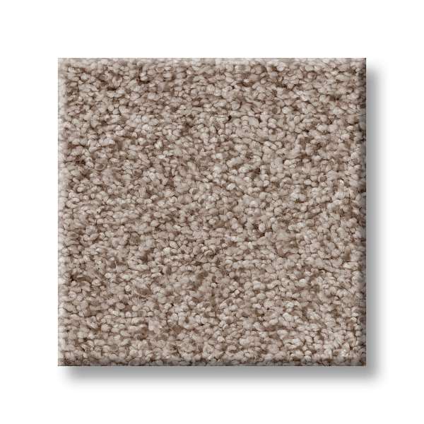 Style Sumptuous I Carpet - Earthen Swatch