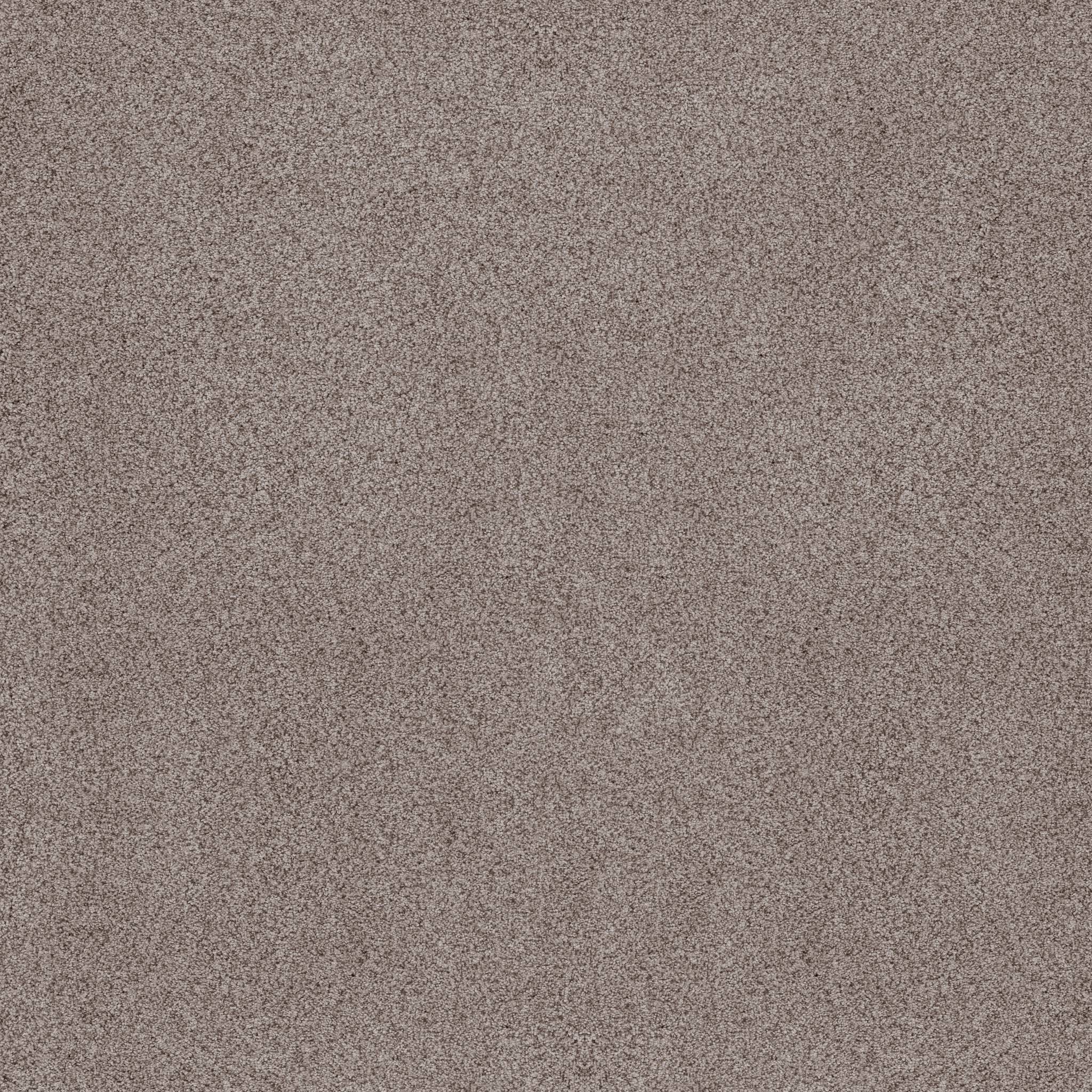 Sumptuous I Carpet - Heritage Taupe Zoomed Swatch Image