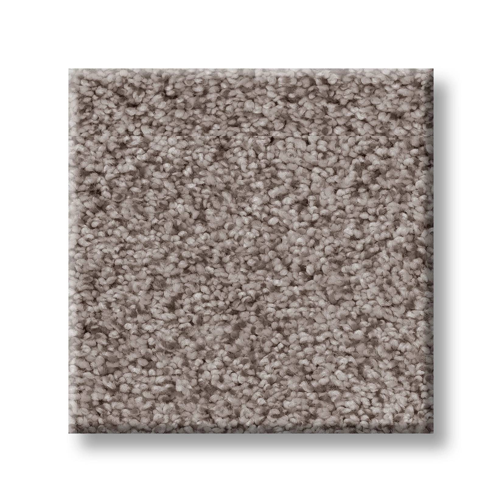 Sumptuous I Carpet - Heritage Taupe Swatch Thumbnail pupop1