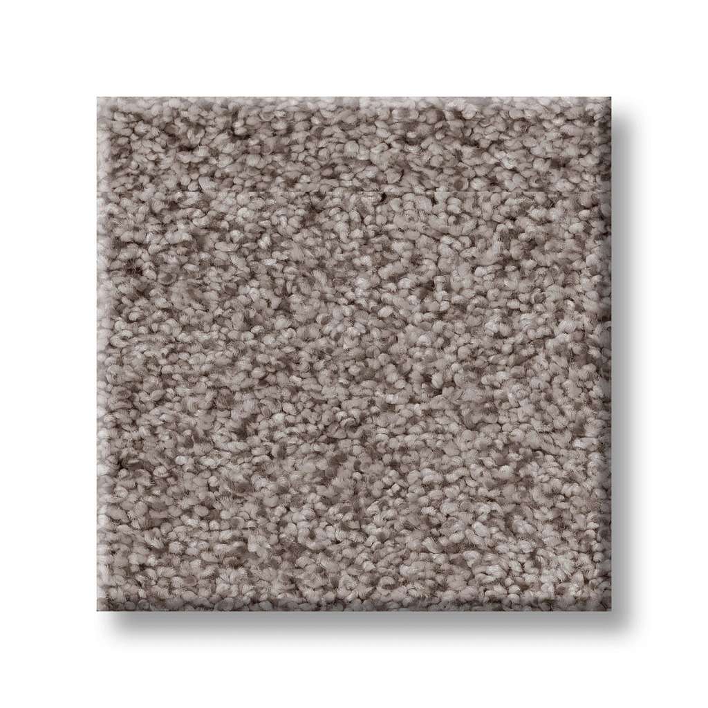 Sumptuous I Carpet - Heritage Taupe  Swatch Image 