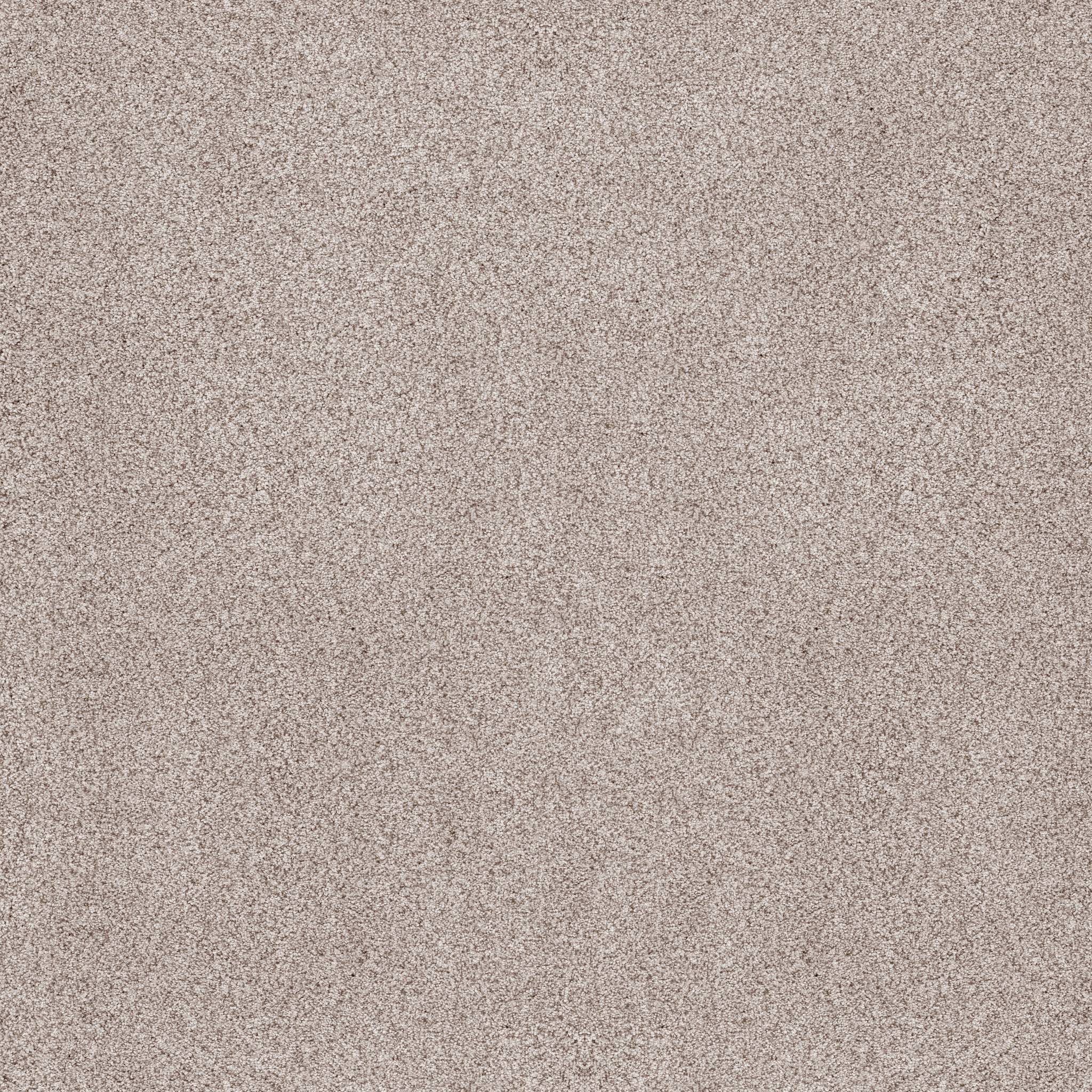 Sumptuous II Carpet - Breton Zoomed Swatch Image