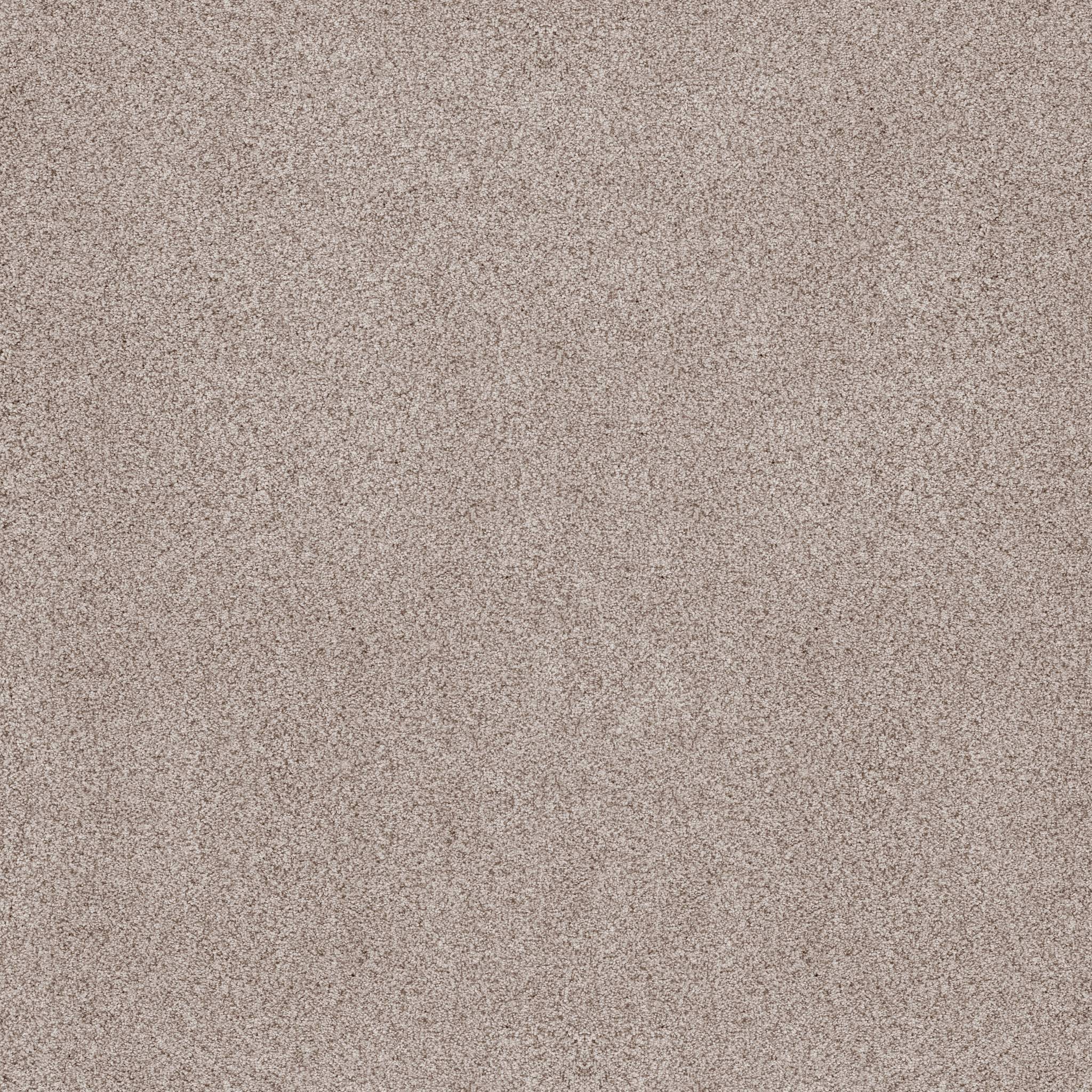 Sumptuous II Carpet - Granite Dust Zoomed Swatch Image