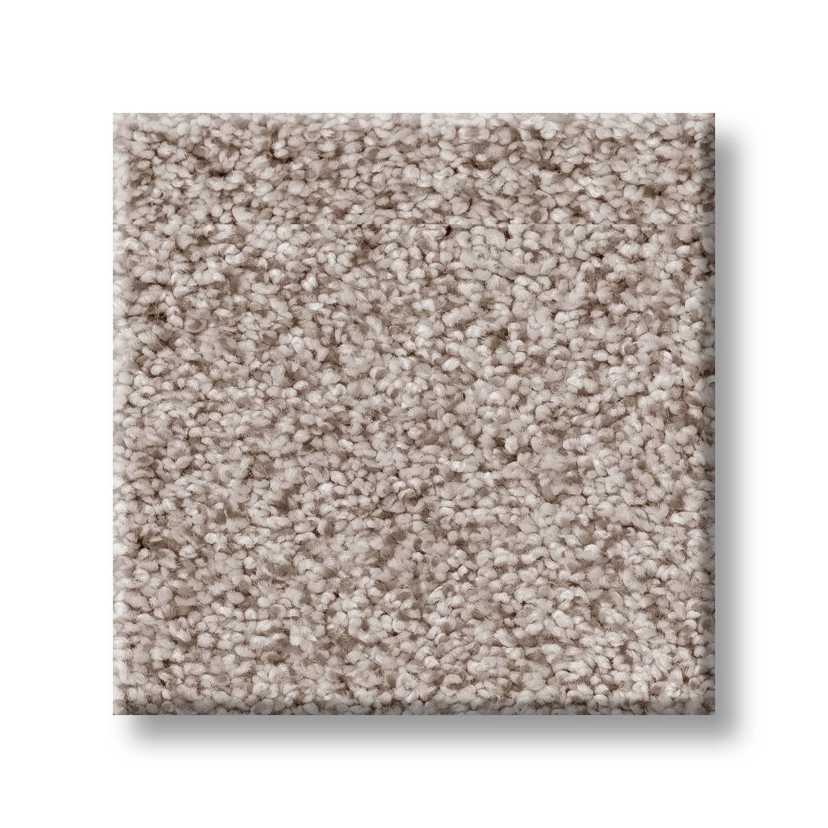 Sumptuous II Carpet - Granite Dust Swatch Thumbnail pupop1