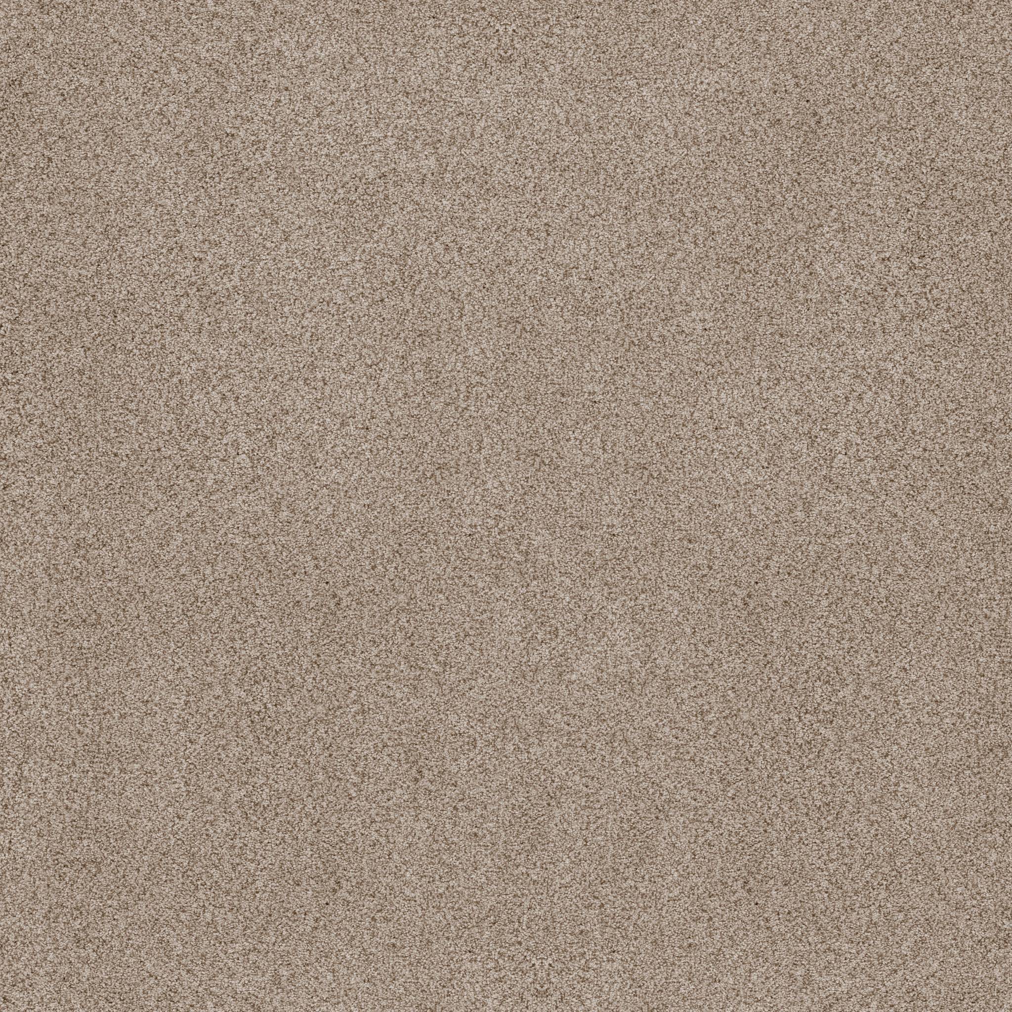 Sumptuous II Carpet - Cream Tea Zoomed Swatch Image