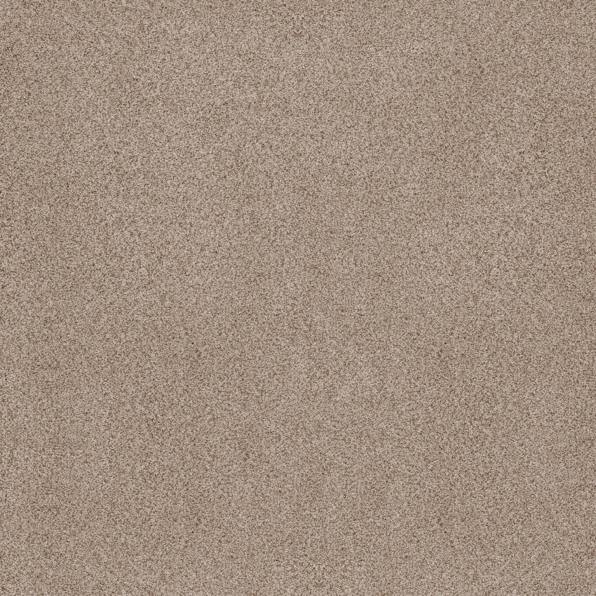 Sumptuous II Carpet - Toasted Grain Zoomed Swatch Image