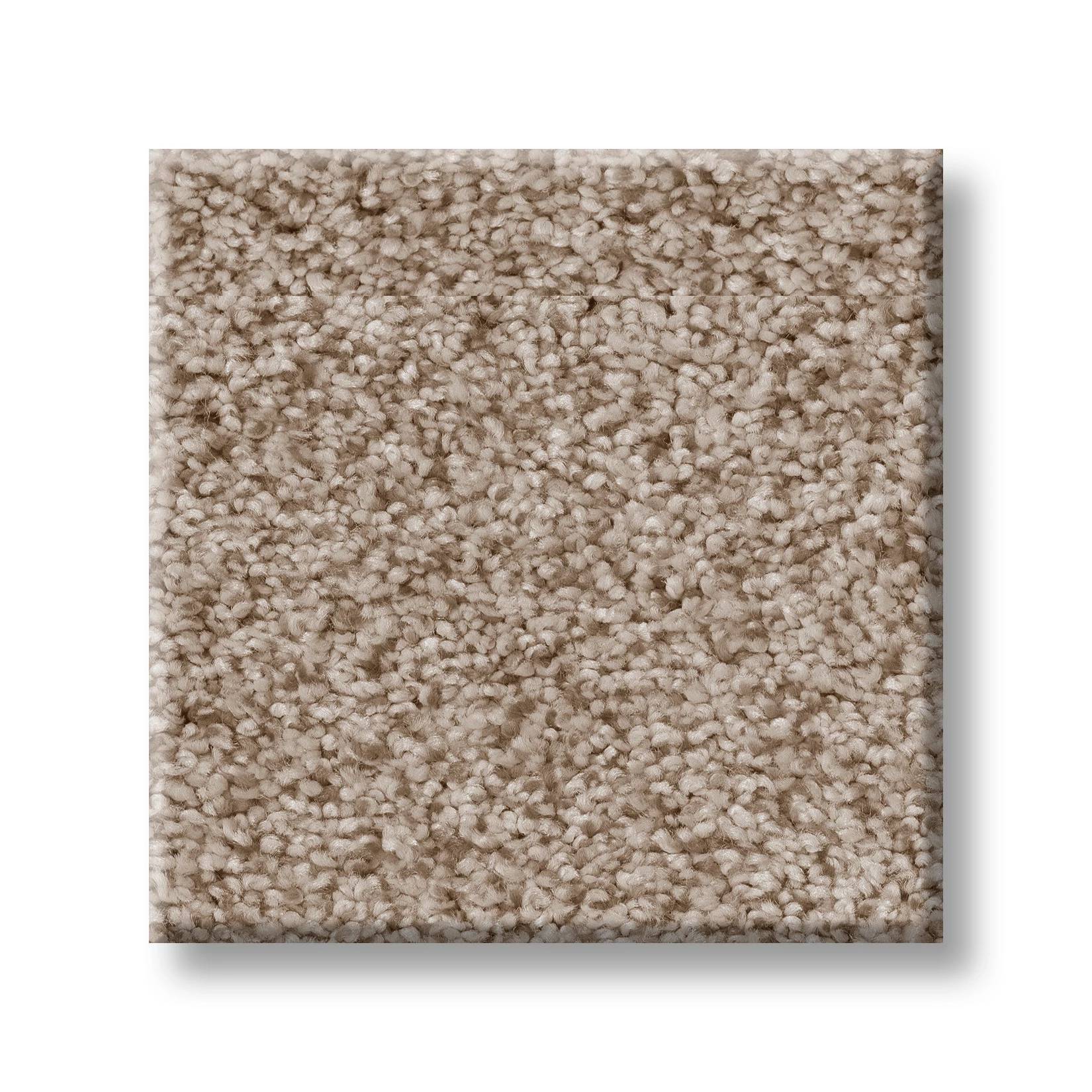 Sumptuous II Carpet - Toasted Grain Swatch Thumbnail pupop1