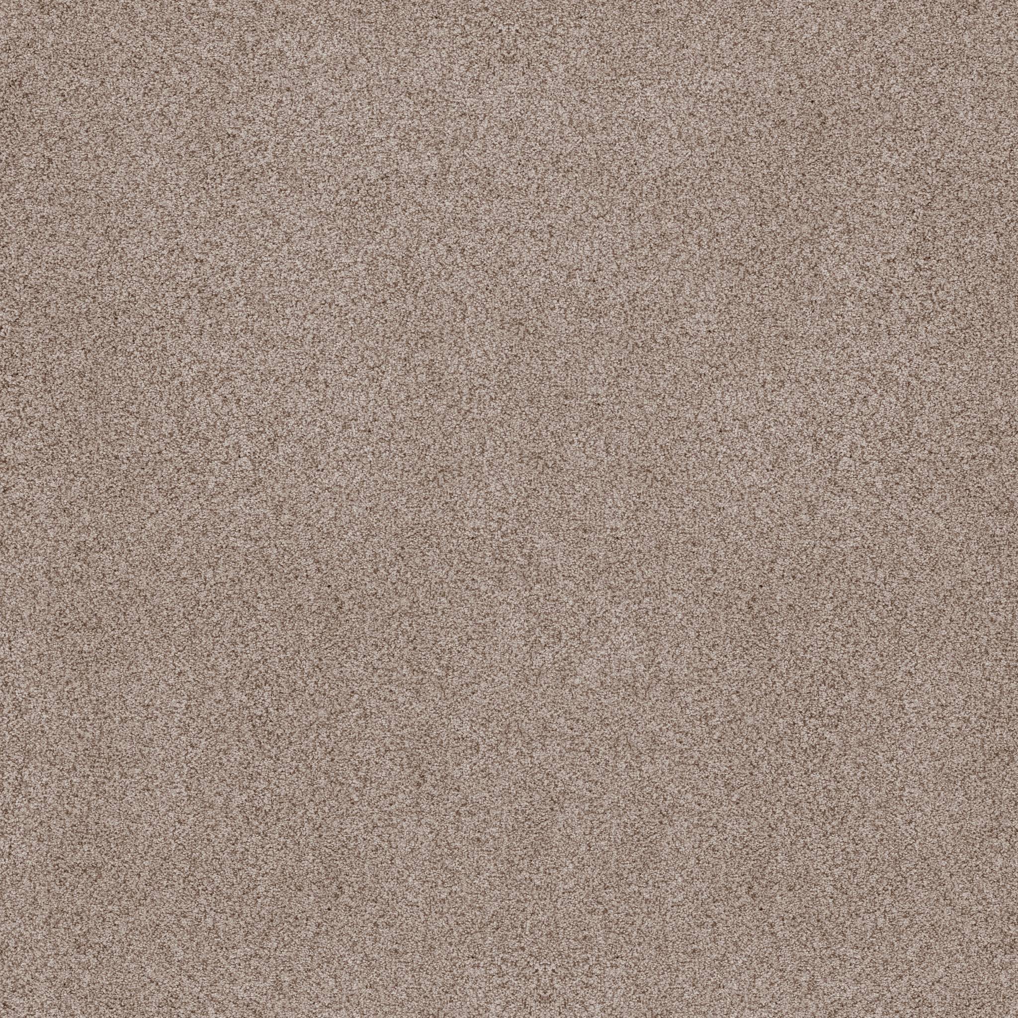 Sumptuous II Carpet - Earthen Zoomed Swatch Image