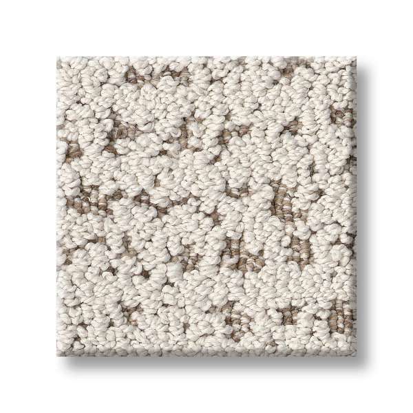 Style Tangent Carpet - Vintage Find Swatch