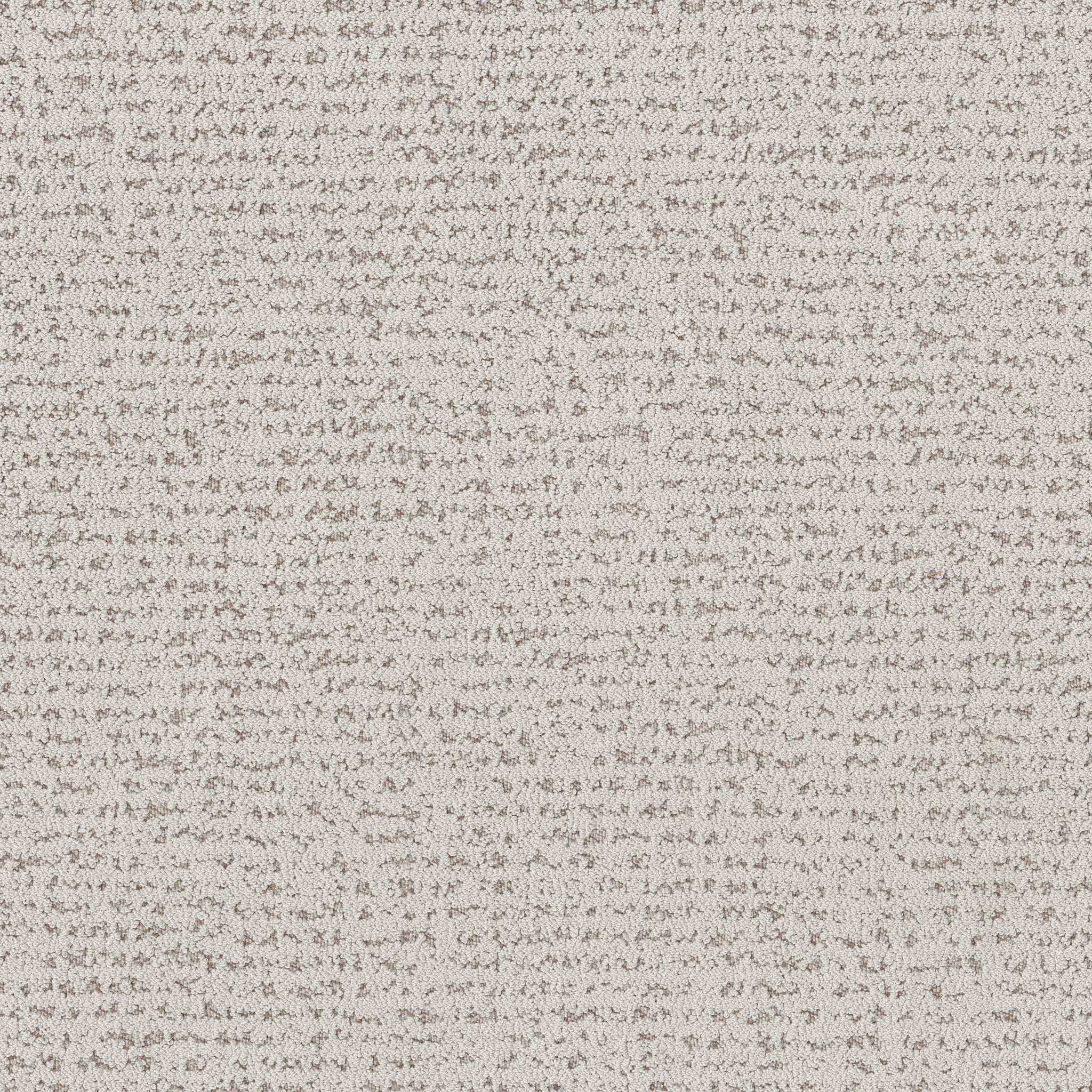 Tangent Carpet - Grey Fox Zoomed Swatch Image