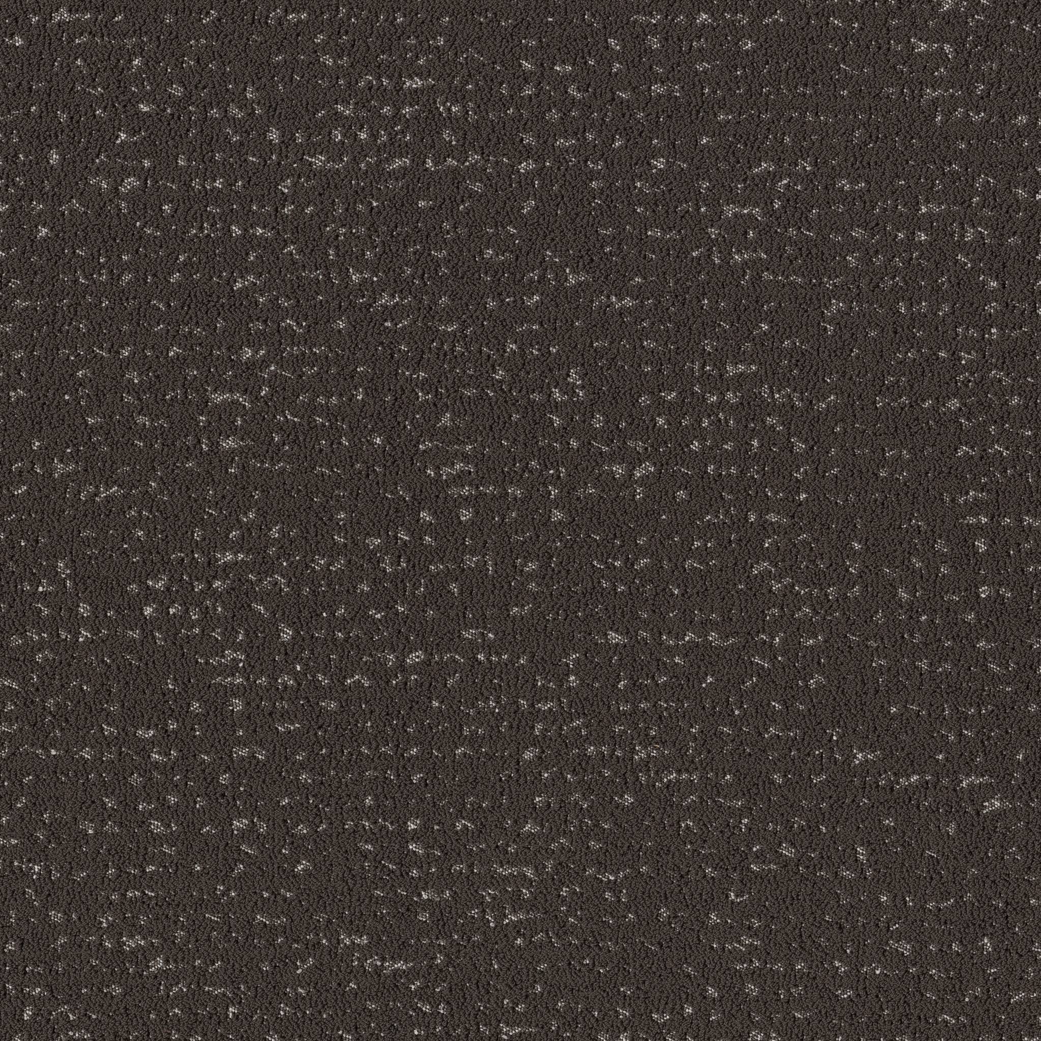 Tangent Carpet - Charcoals Zoomed Swatch Image
