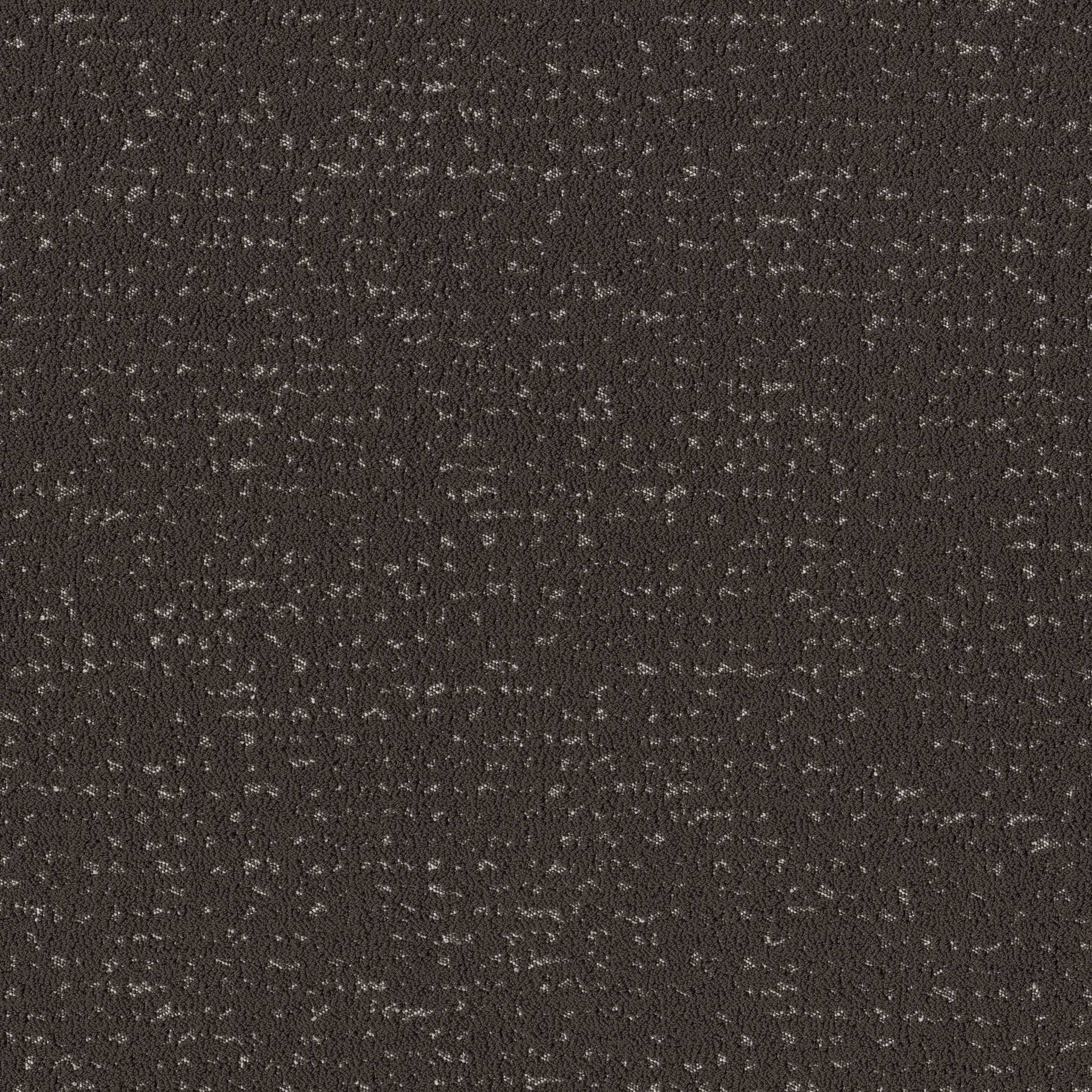 Tangent Carpet - Charcoals Zoomed Swatch Image