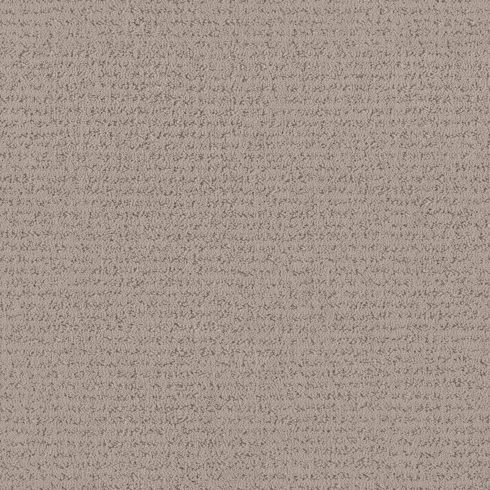 Tangent Carpet - Pebble Path Zoomed Swatch Image