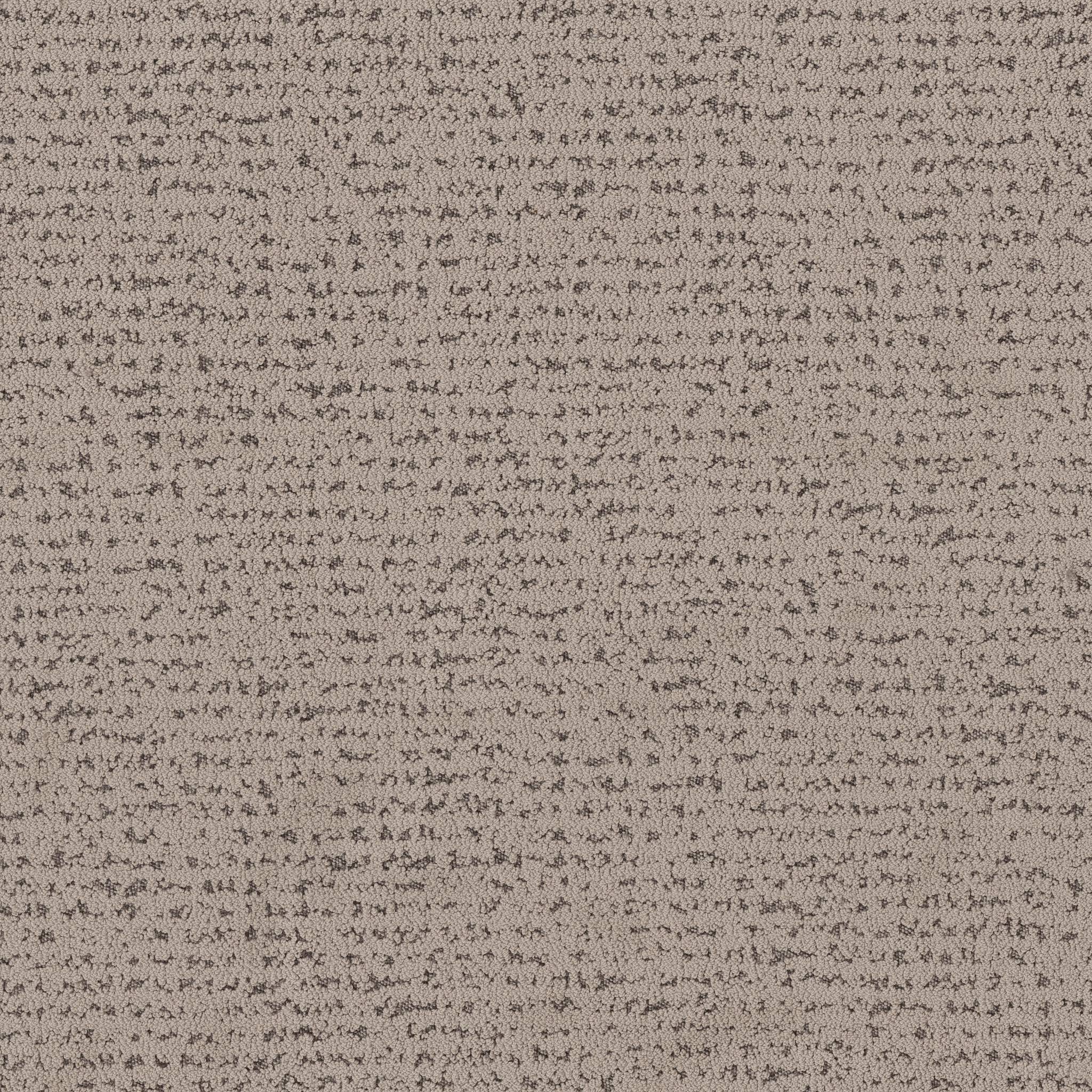 Tangent Carpet - Mocha Zoomed Swatch Image