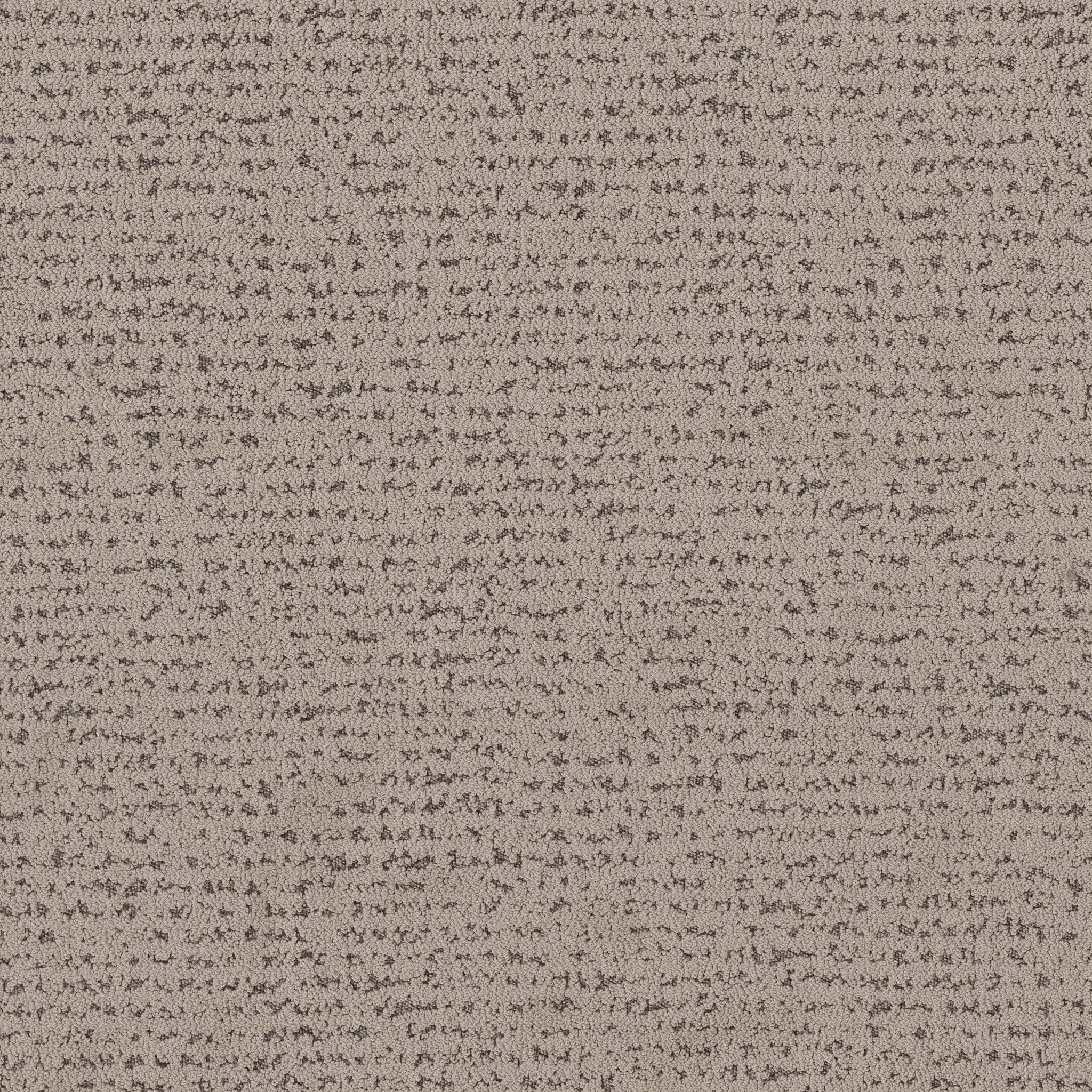 Tangent Carpet - Mocha Zoomed Swatch Image