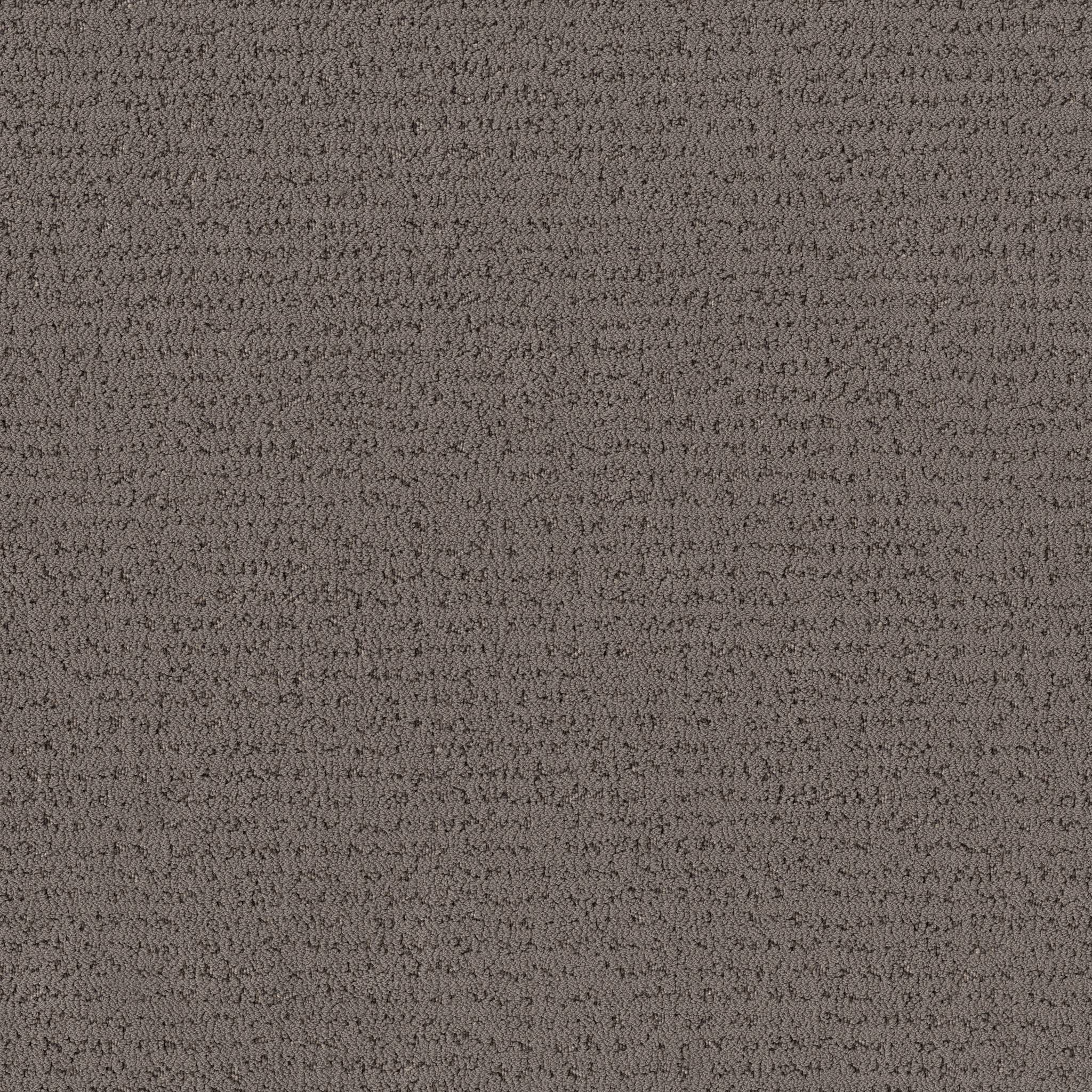 Tangent Carpet - Walnut Zoomed Swatch Image