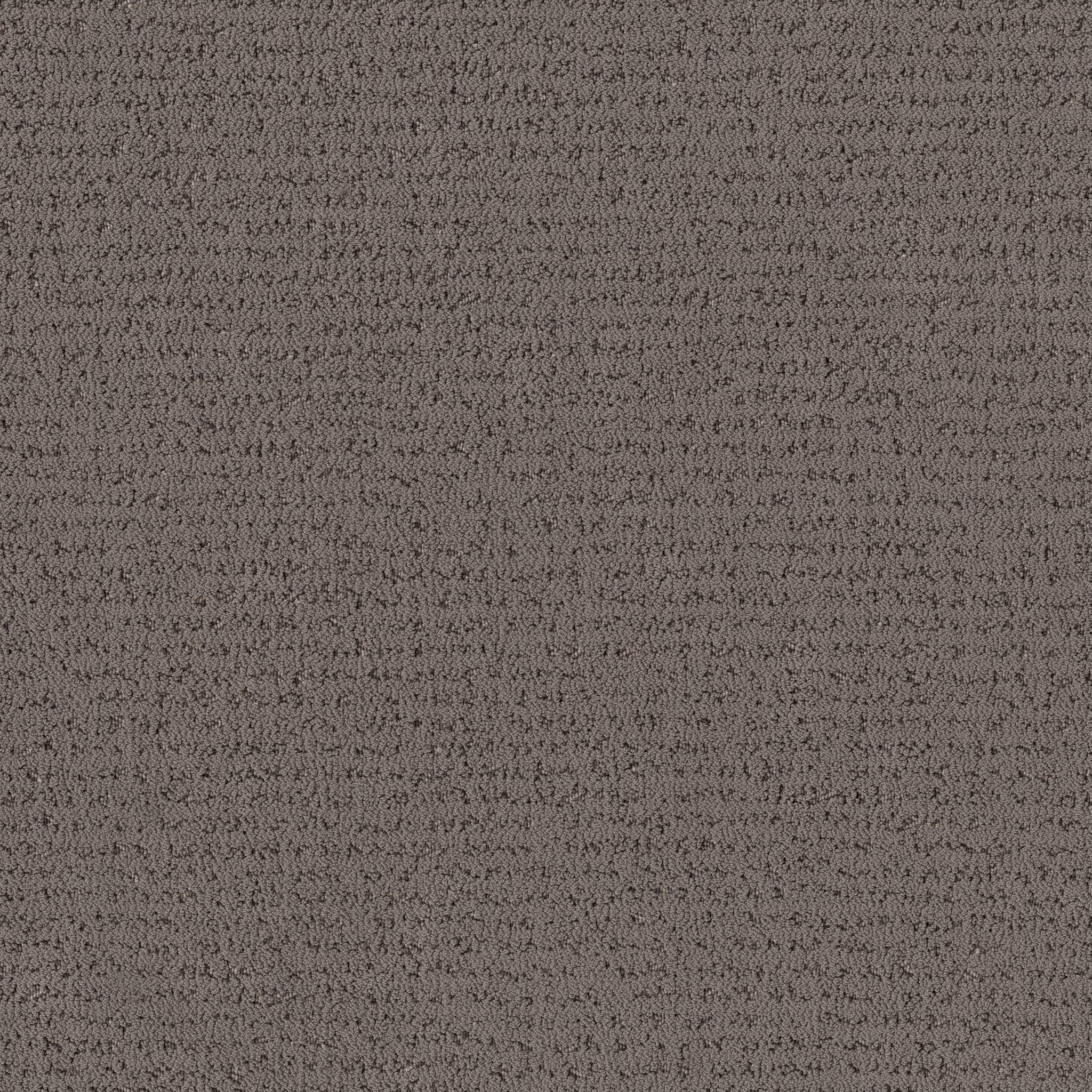 Tangent Carpet - Walnut Zoomed Swatch Image