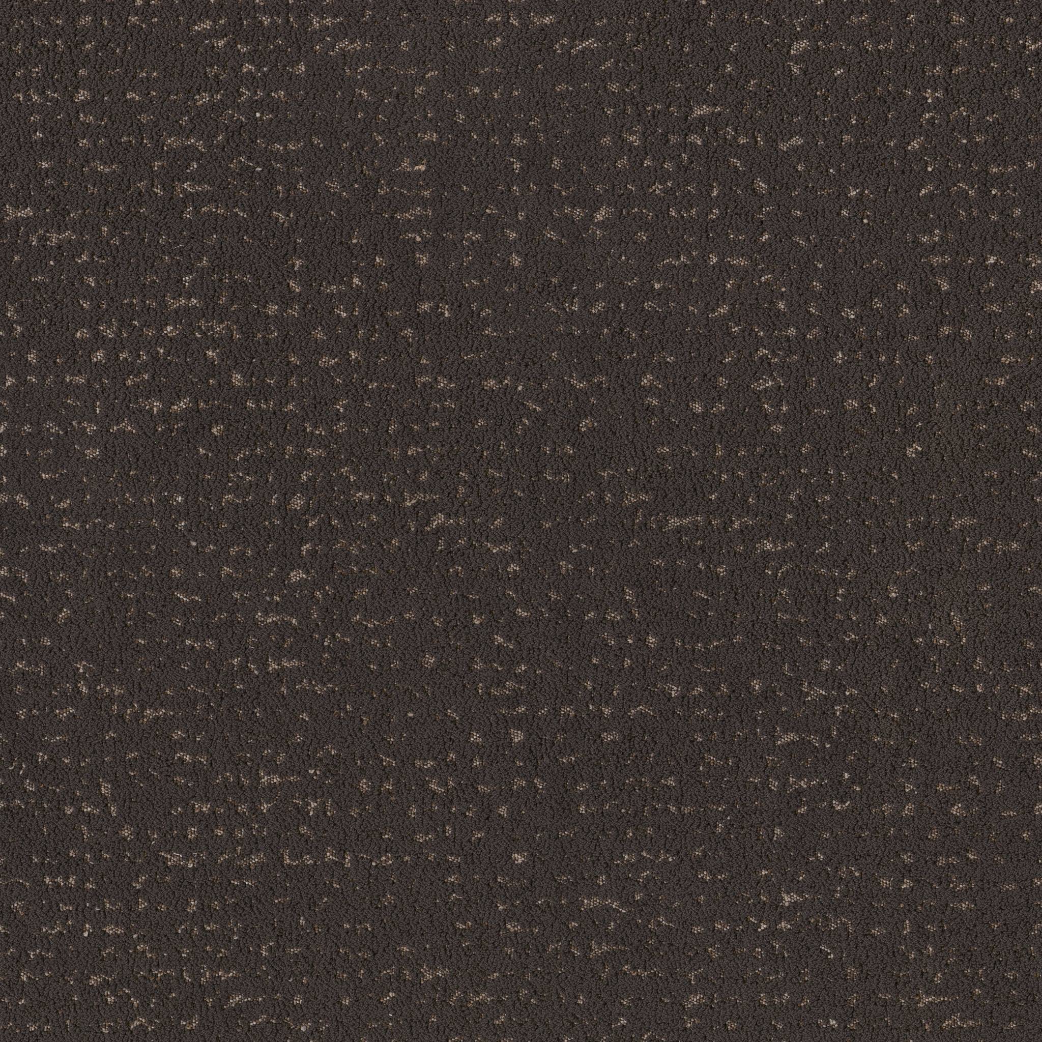 Tangent Carpet - Dark Roast Zoomed Swatch Image