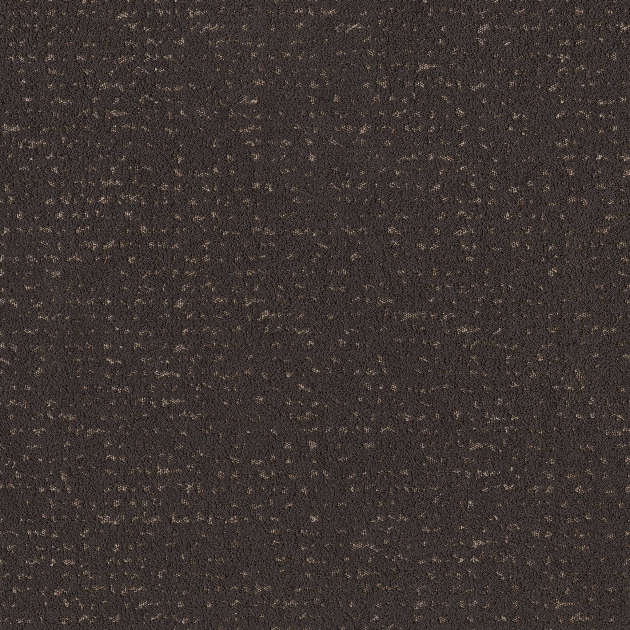 Tangent Carpet - Dark Roast Zoomed Swatch Image