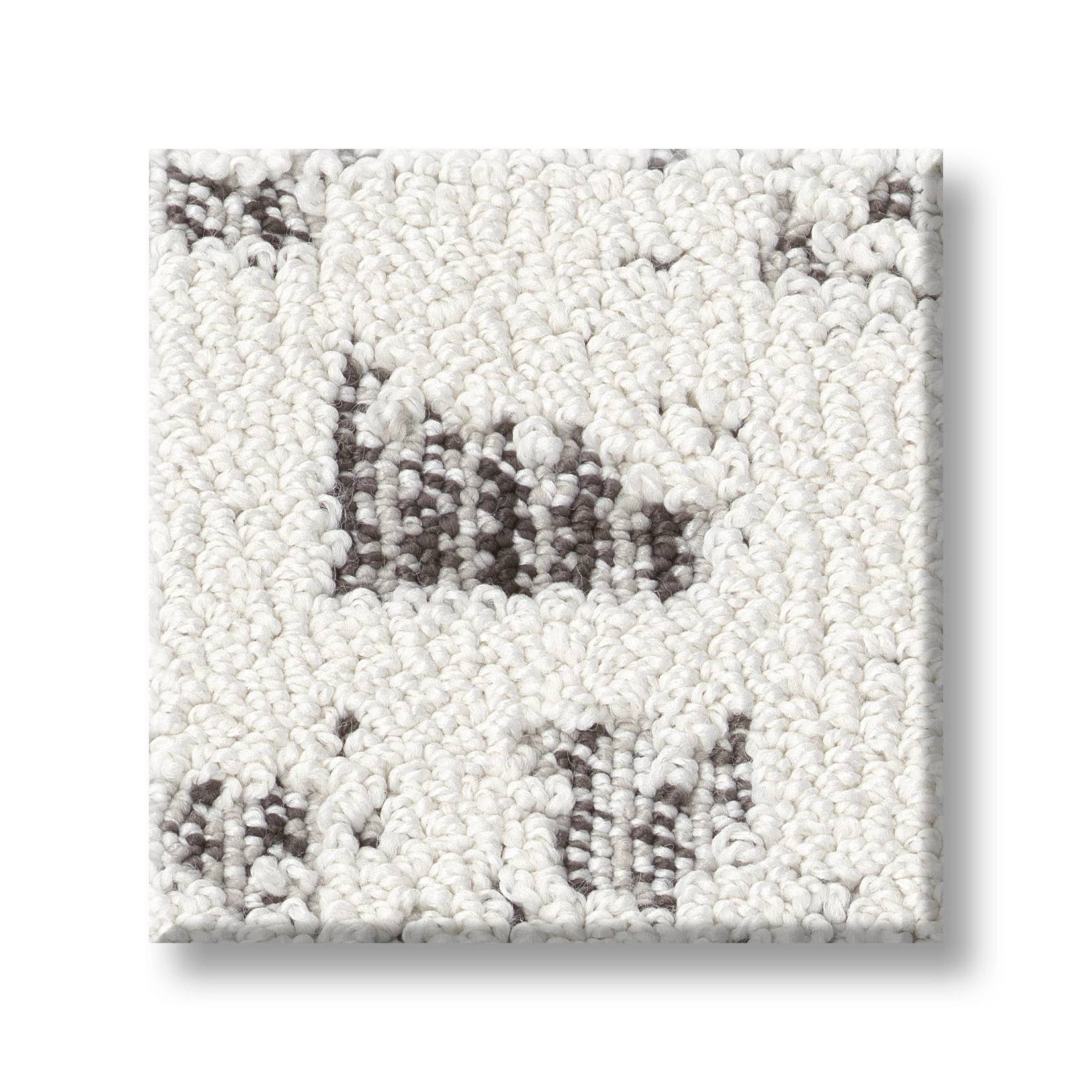 Discover Carpet - Granite Swatch Thumbnail pupop1