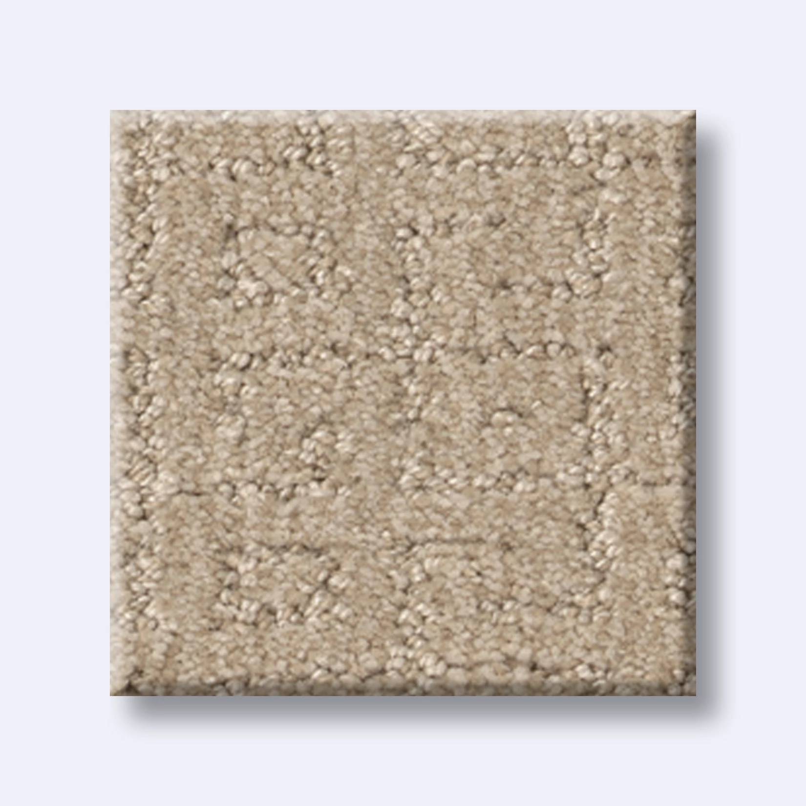 Vignette Carpet - Loft Light Swatch Thumbnail pupop1