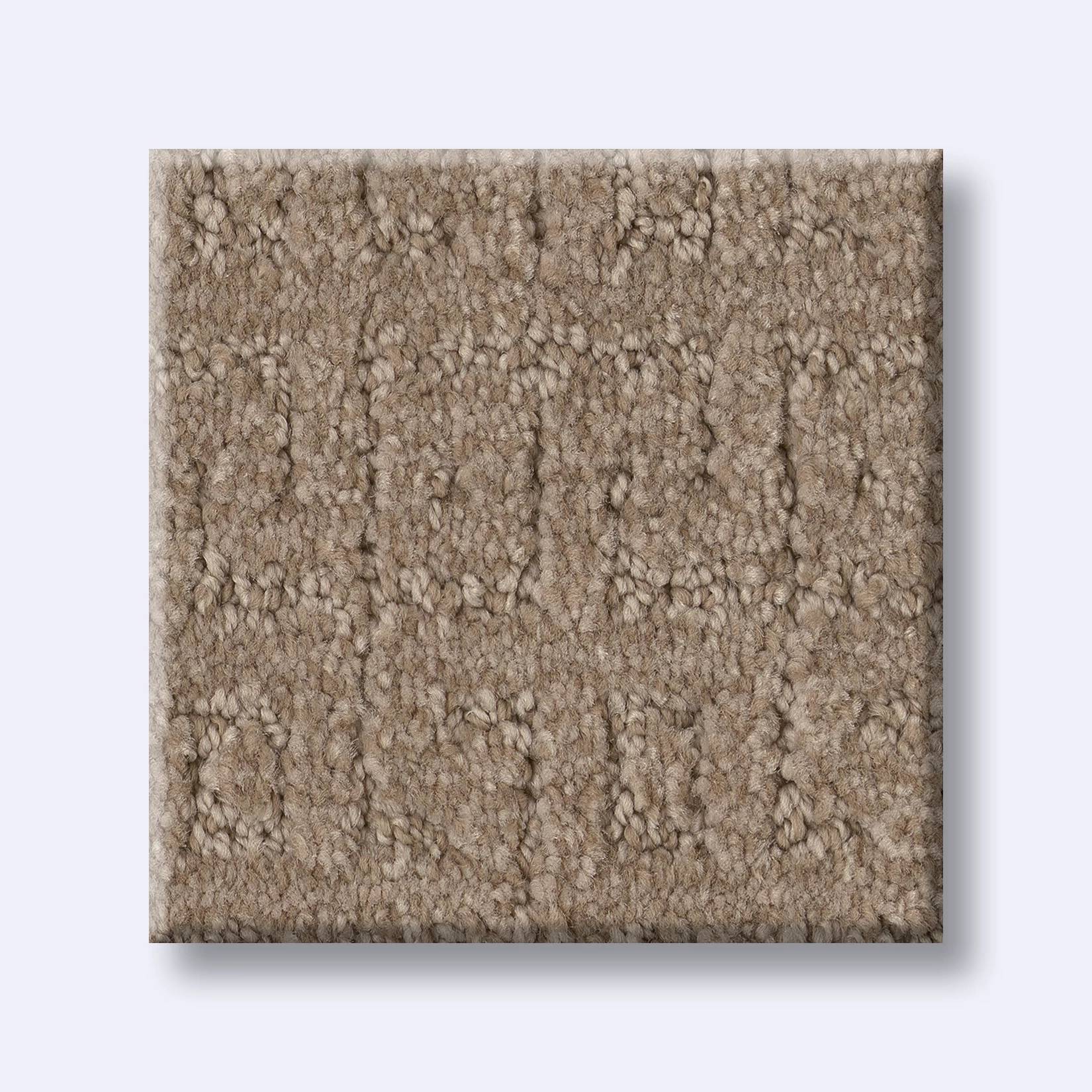 Vignette Carpet - Oxford Tan Swatch Thumbnail pupop1