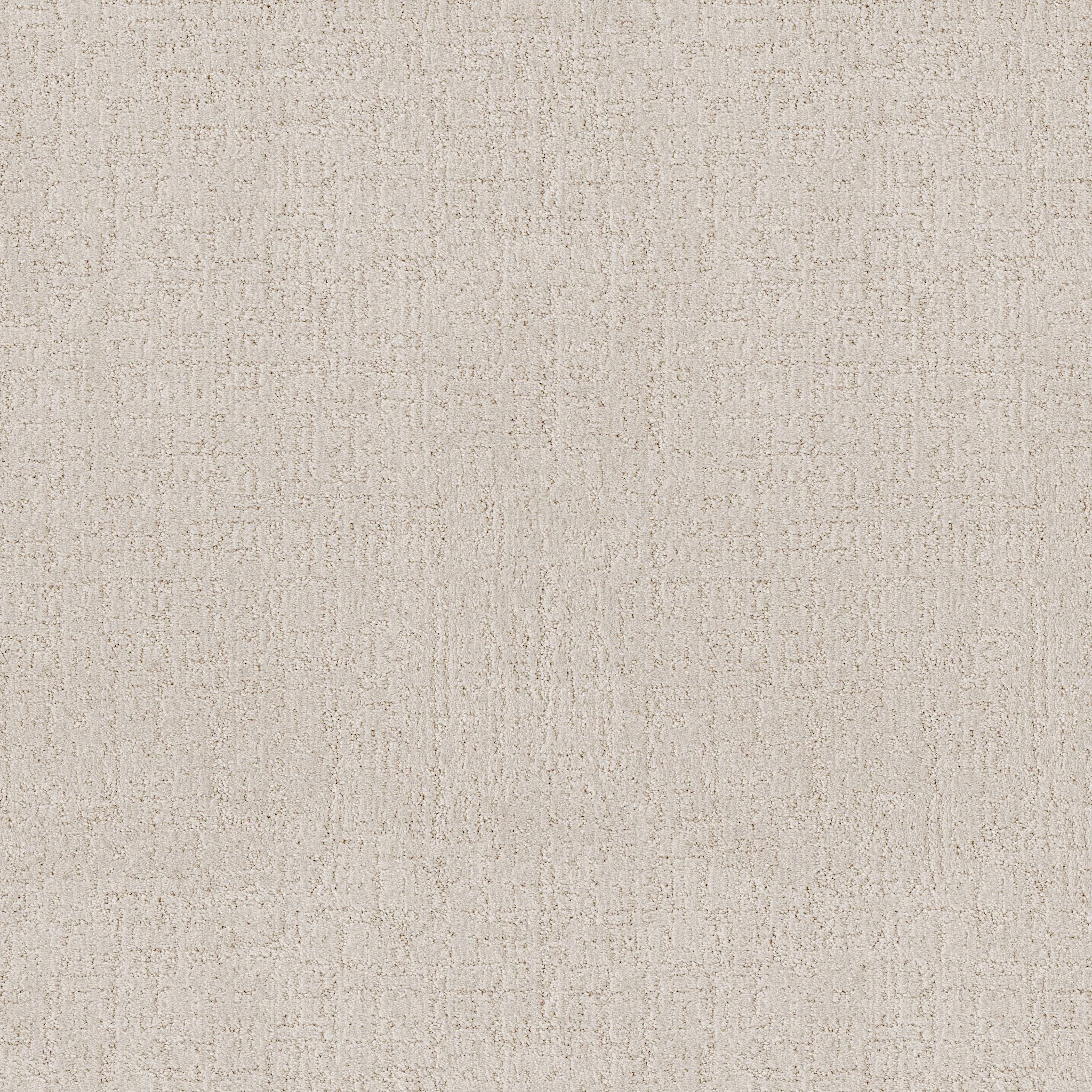 Indulgent Carpet - Crisp Linen Zoomed Swatch Image