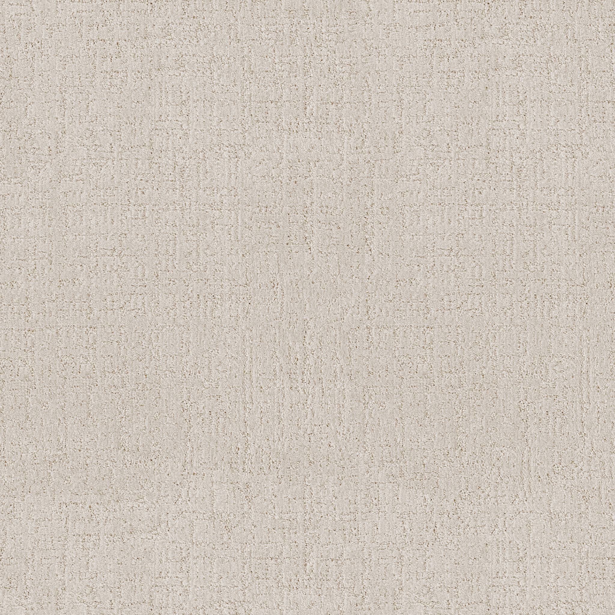 Indulgent Carpet - Crisp Linen Zoomed Swatch Image