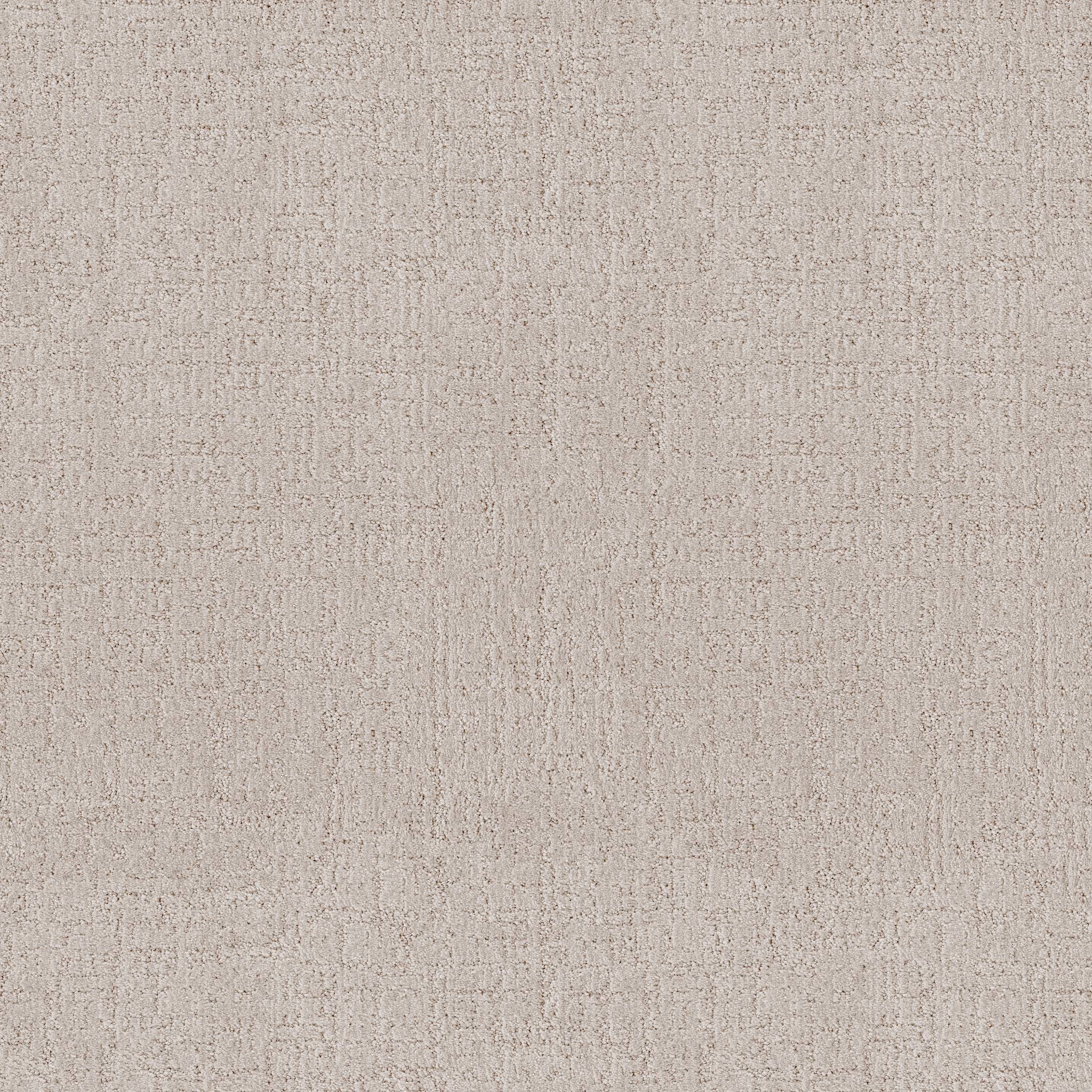 Indulgent Carpet - Whitewash Zoomed Swatch Image