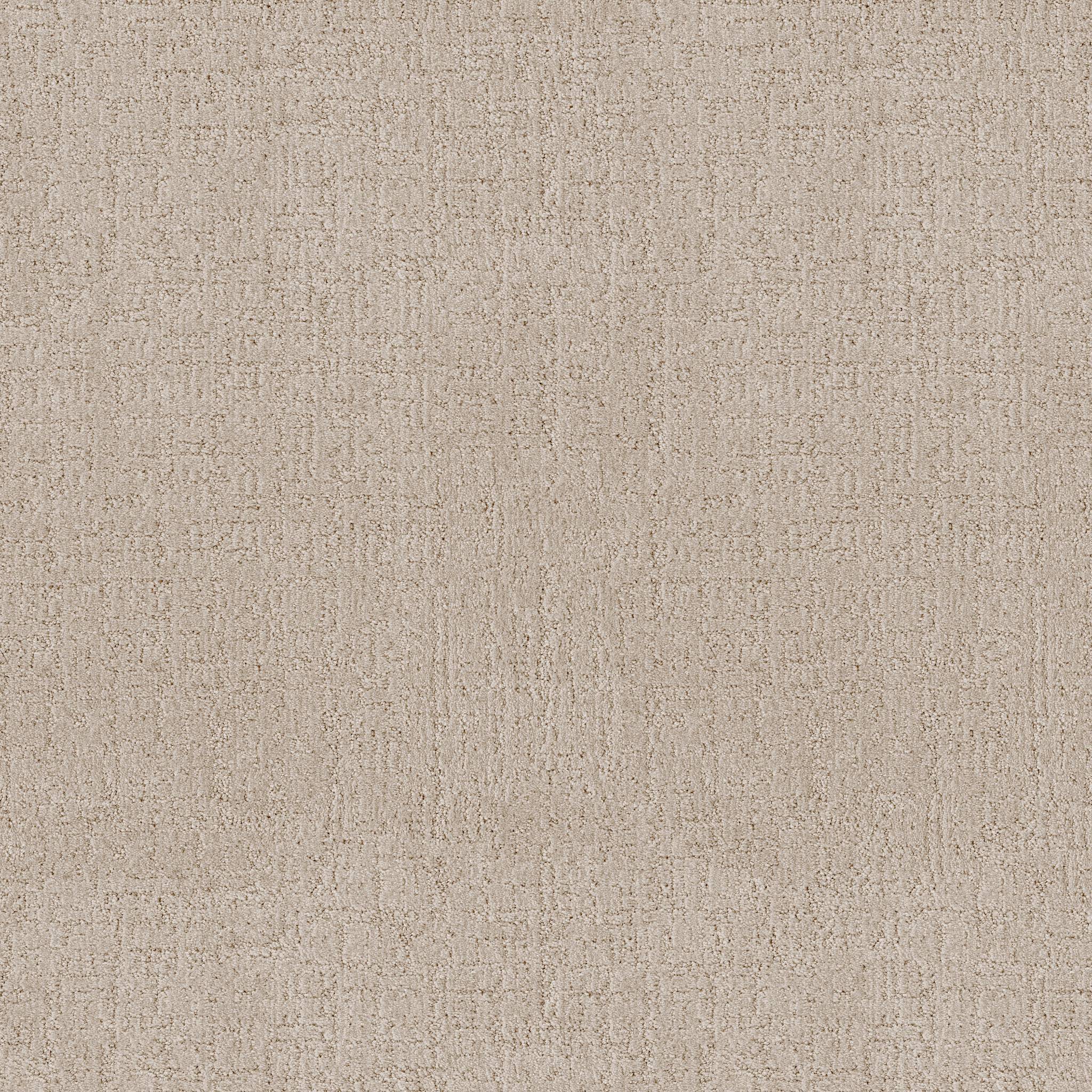 Indulgent Carpet - Spanish Sand Zoomed Swatch Image