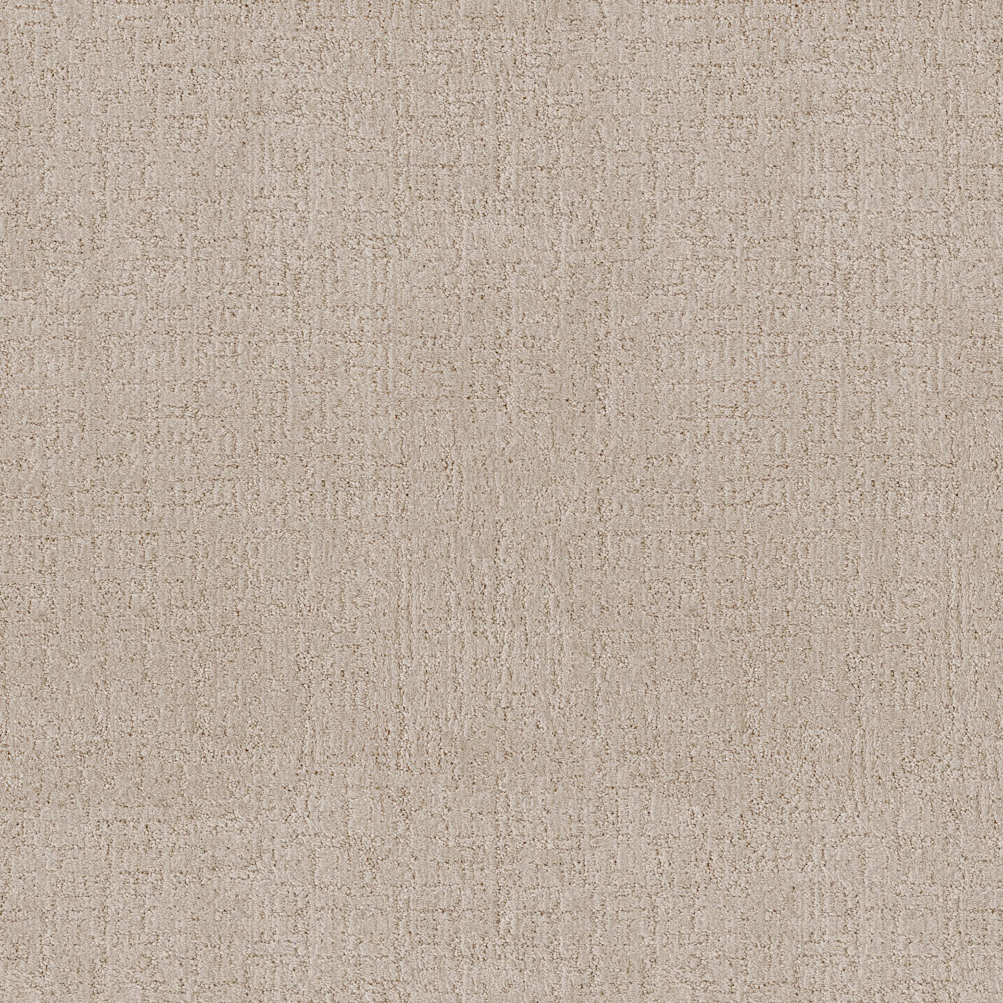 Indulgent Carpet - Spanish Sand Zoomed Swatch Image