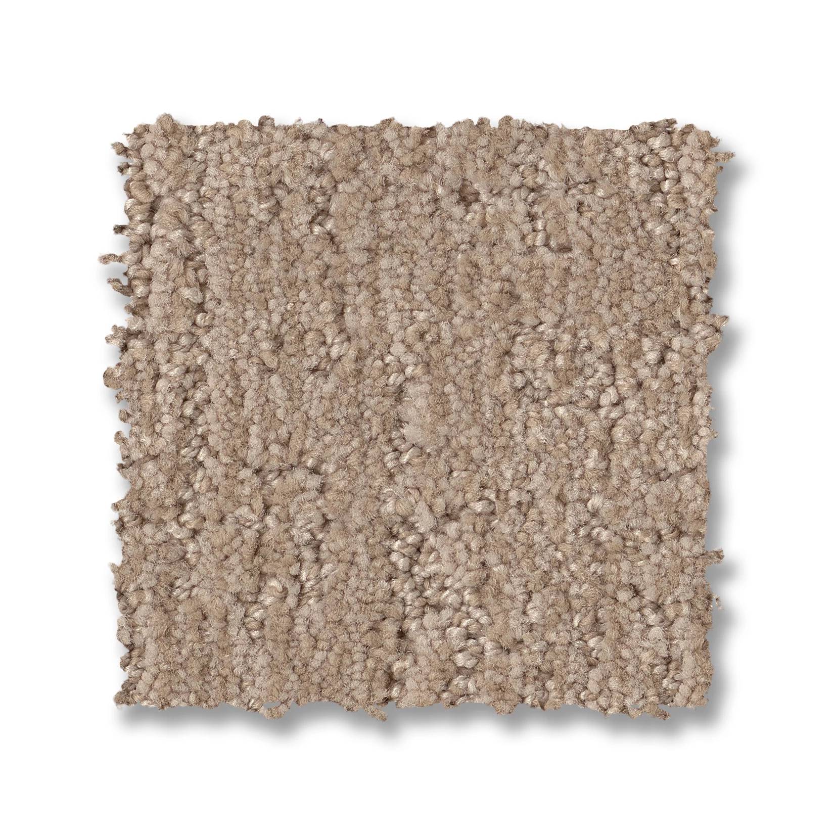 Indulgent Carpet - Pacific Bluff Swatch Thumbnail pupop1