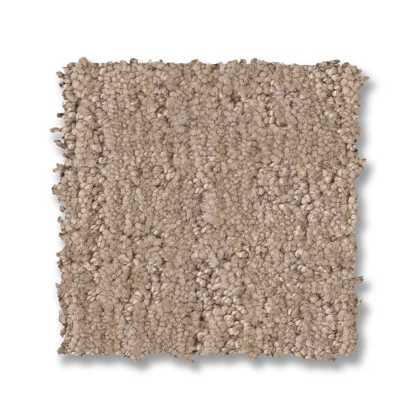 indulgent zz331 - pacific bluff Costco | Shaw Carpet: Berber