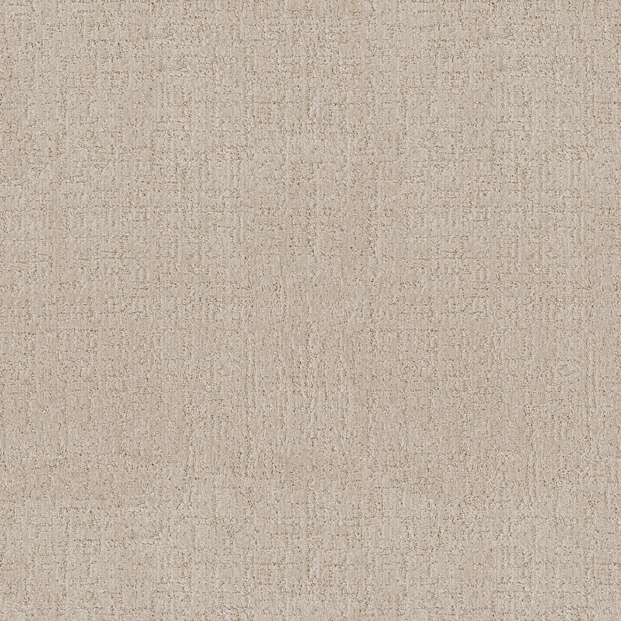 Indulgent Carpet - Irish Cream Zoomed Swatch Image