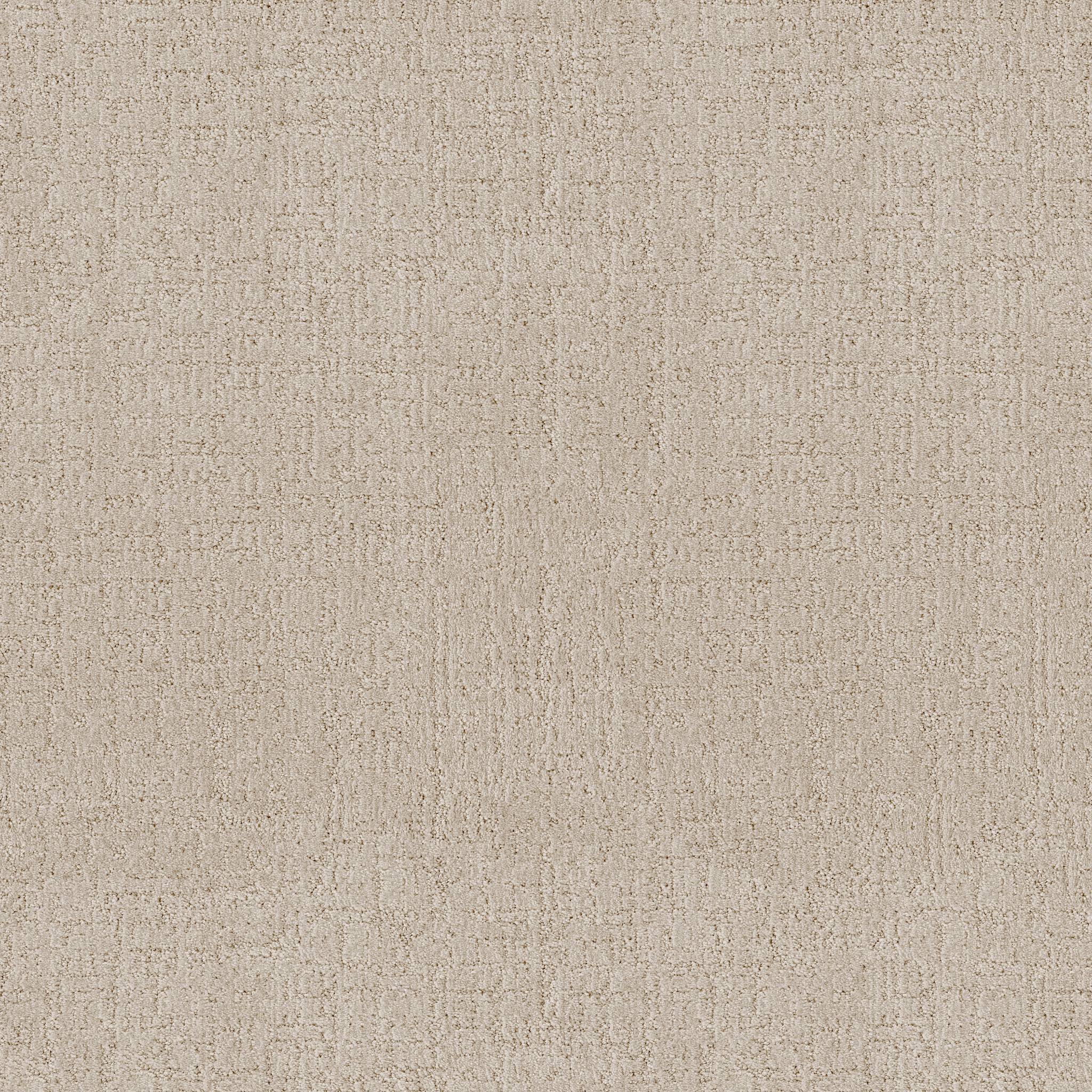 Indulgent Carpet - Irish Cream Zoomed Swatch Image