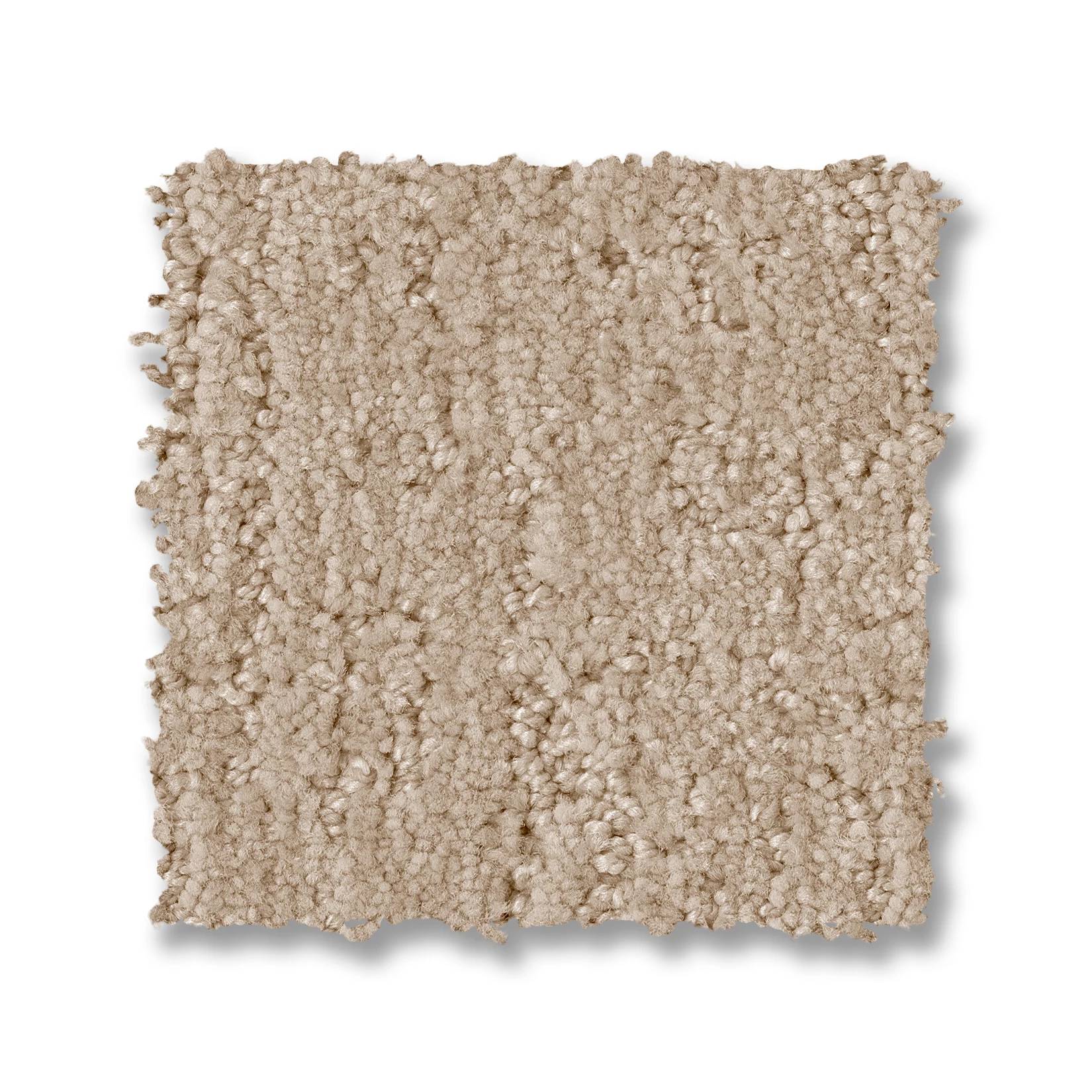Indulgent Carpet - Loft Light Swatch Thumbnail pupop1