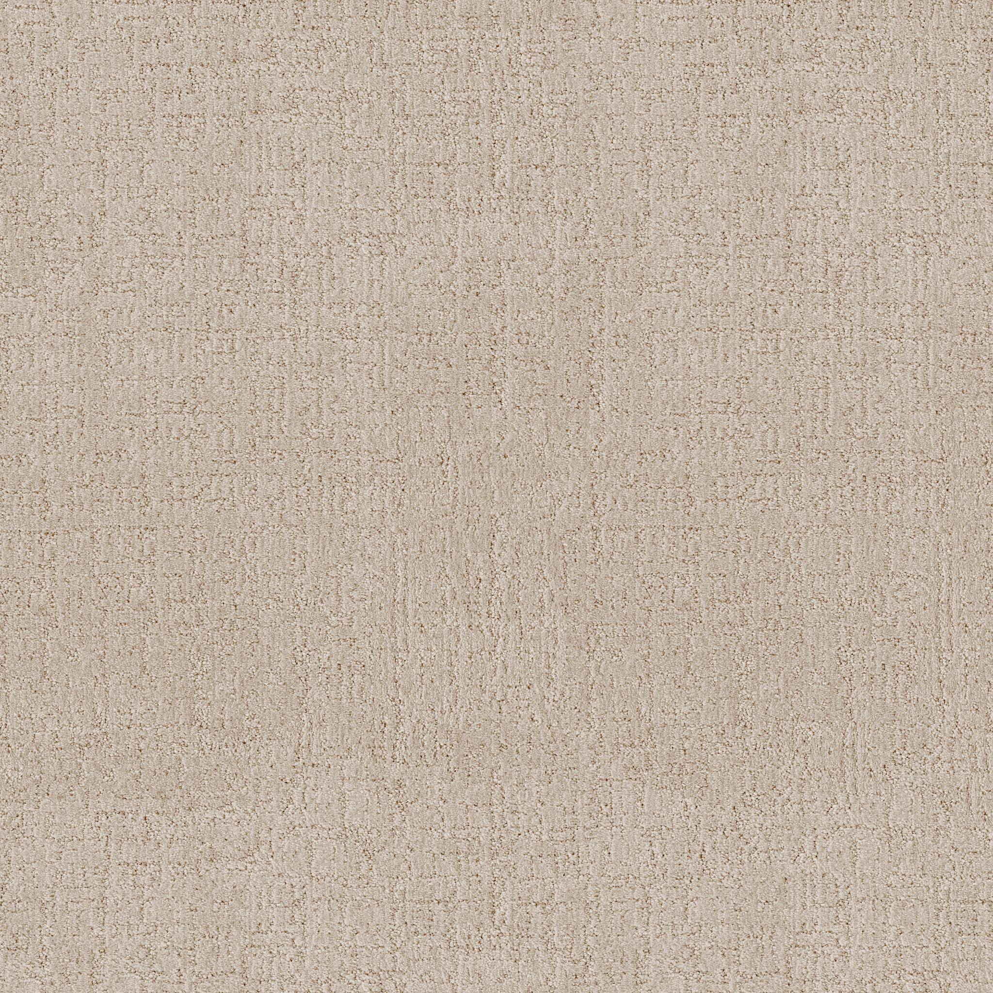 Indulgent Carpet - Cottage Zoomed Swatch Image