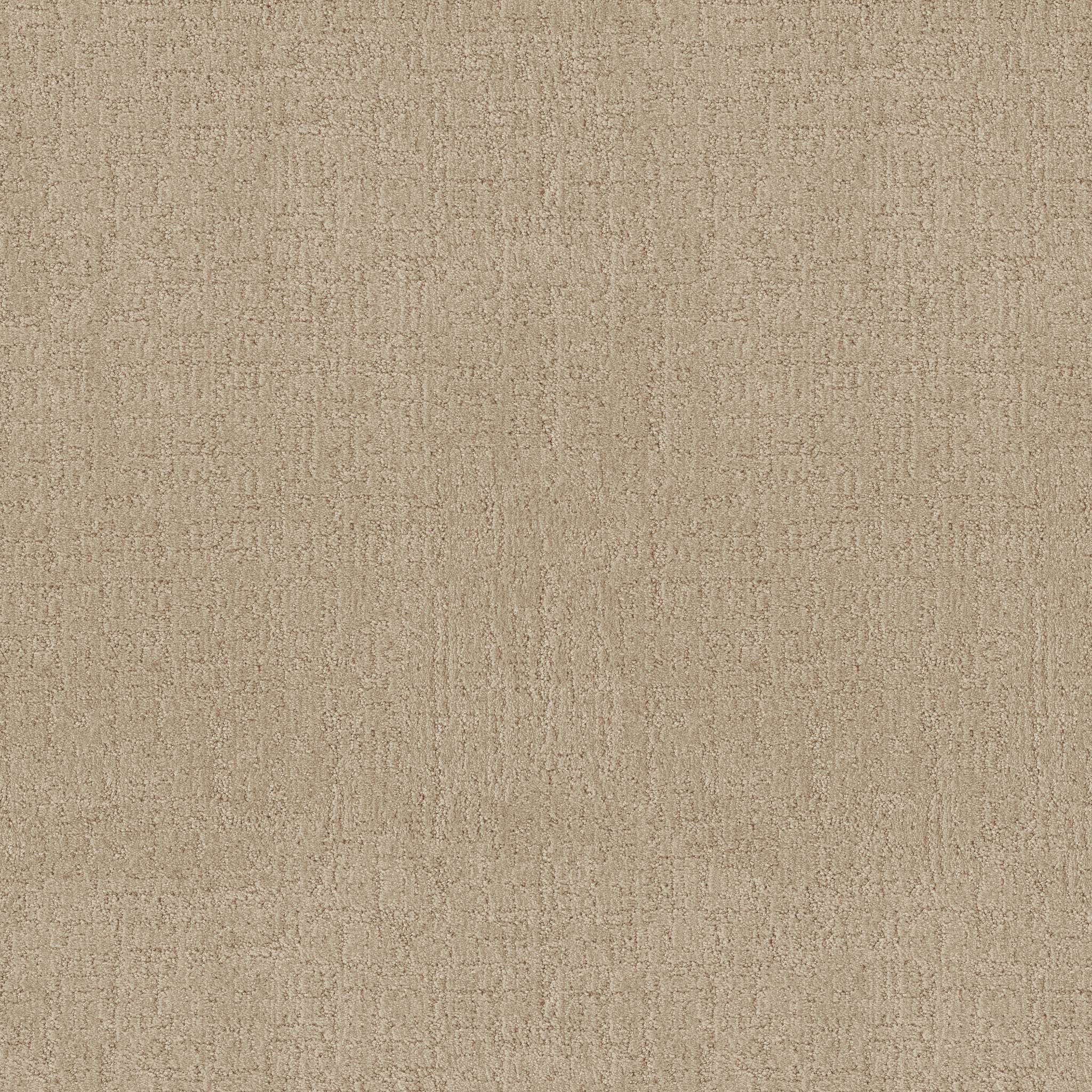 Indulgent Carpet - Champagne Zoomed Swatch Image