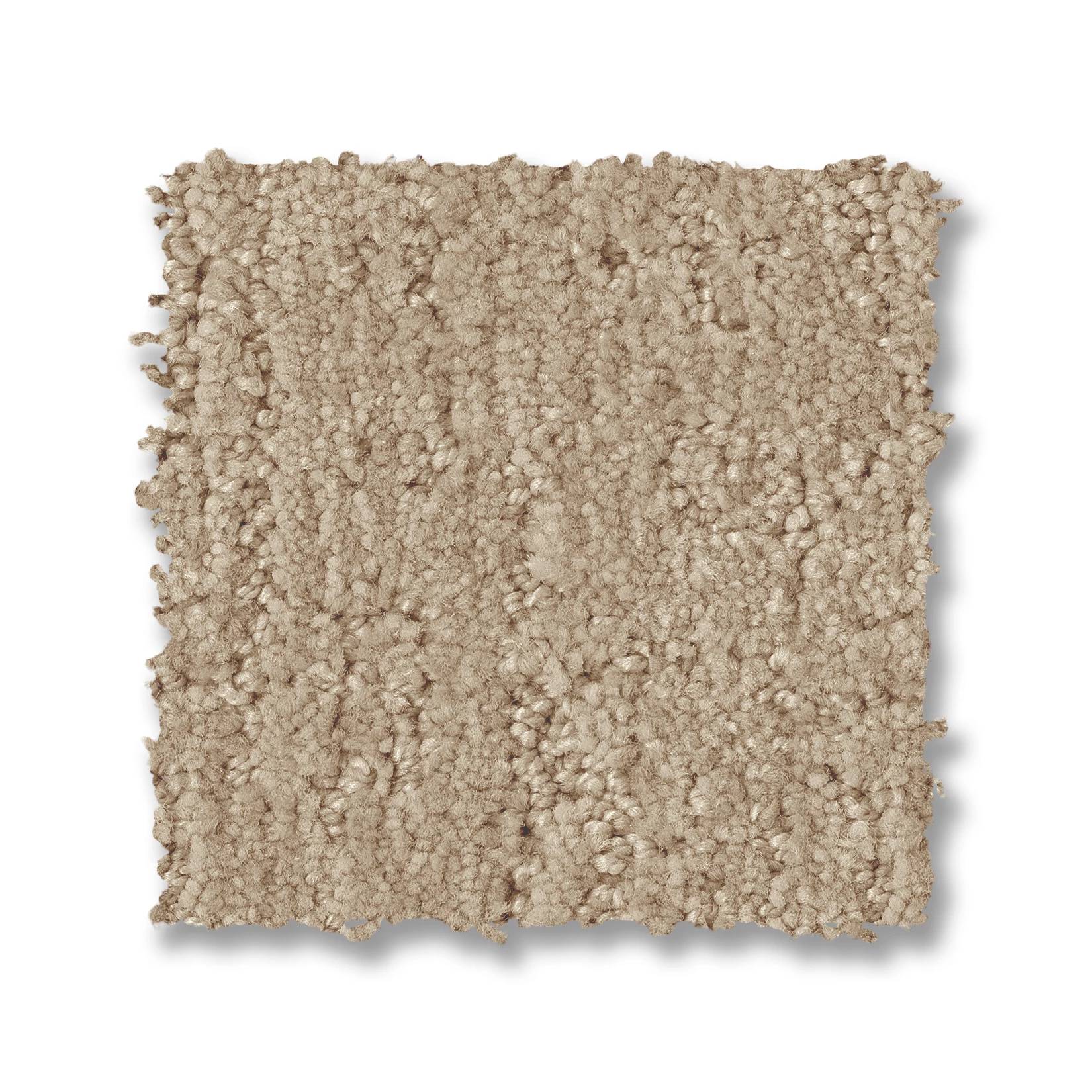 Indulgent Carpet - Champagne Swatch Thumbnail pupop1