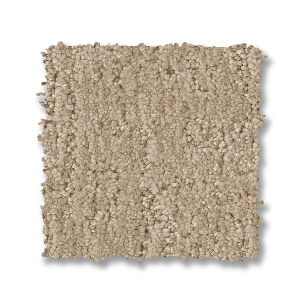 Style Indulgent Carpet - Champagne Swatch