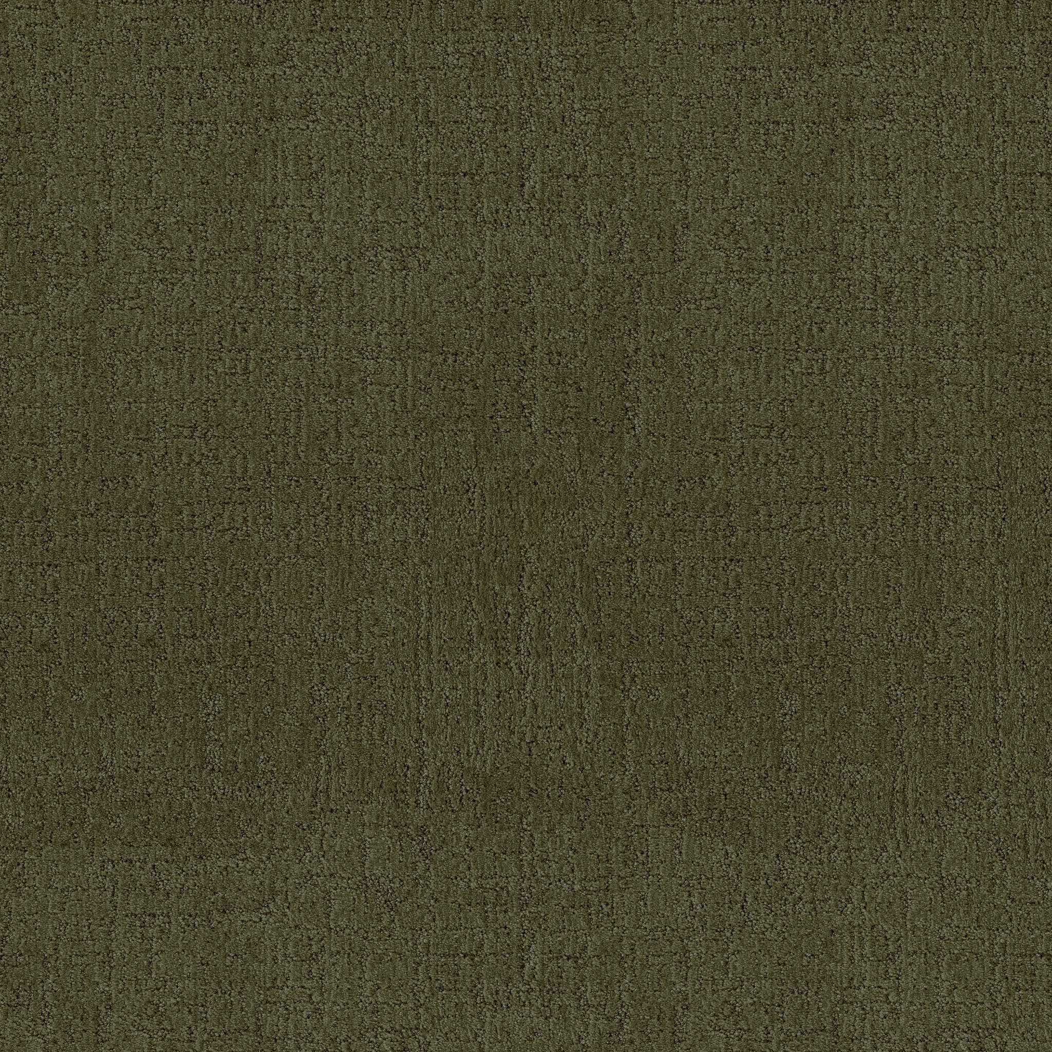 Indulgent Carpet - Olive Tree Zoomed Swatch Image