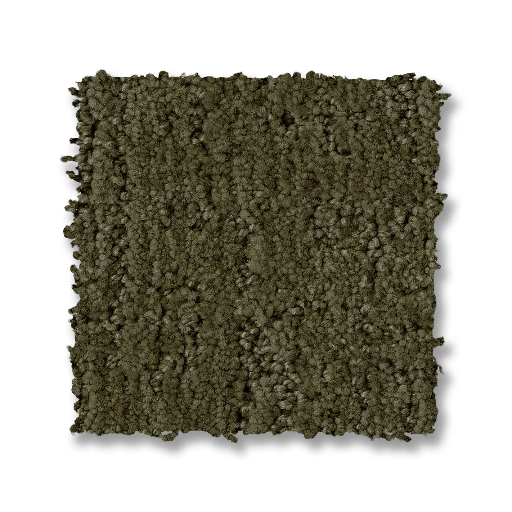 Indulgent Carpet - Olive Tree Swatch Thumbnail pupop1
