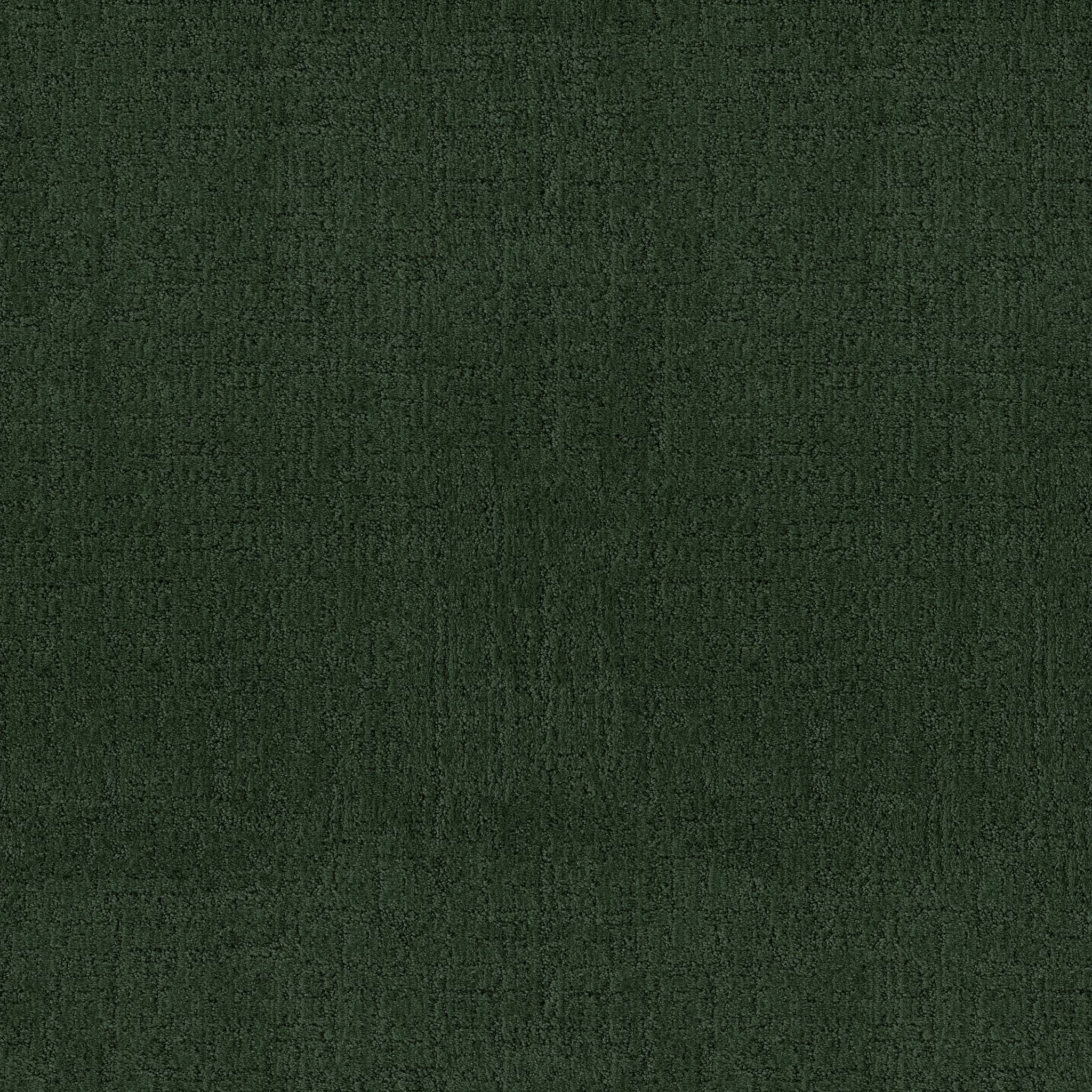 Indulgent Carpet - Deep Pine Zoomed Swatch Image